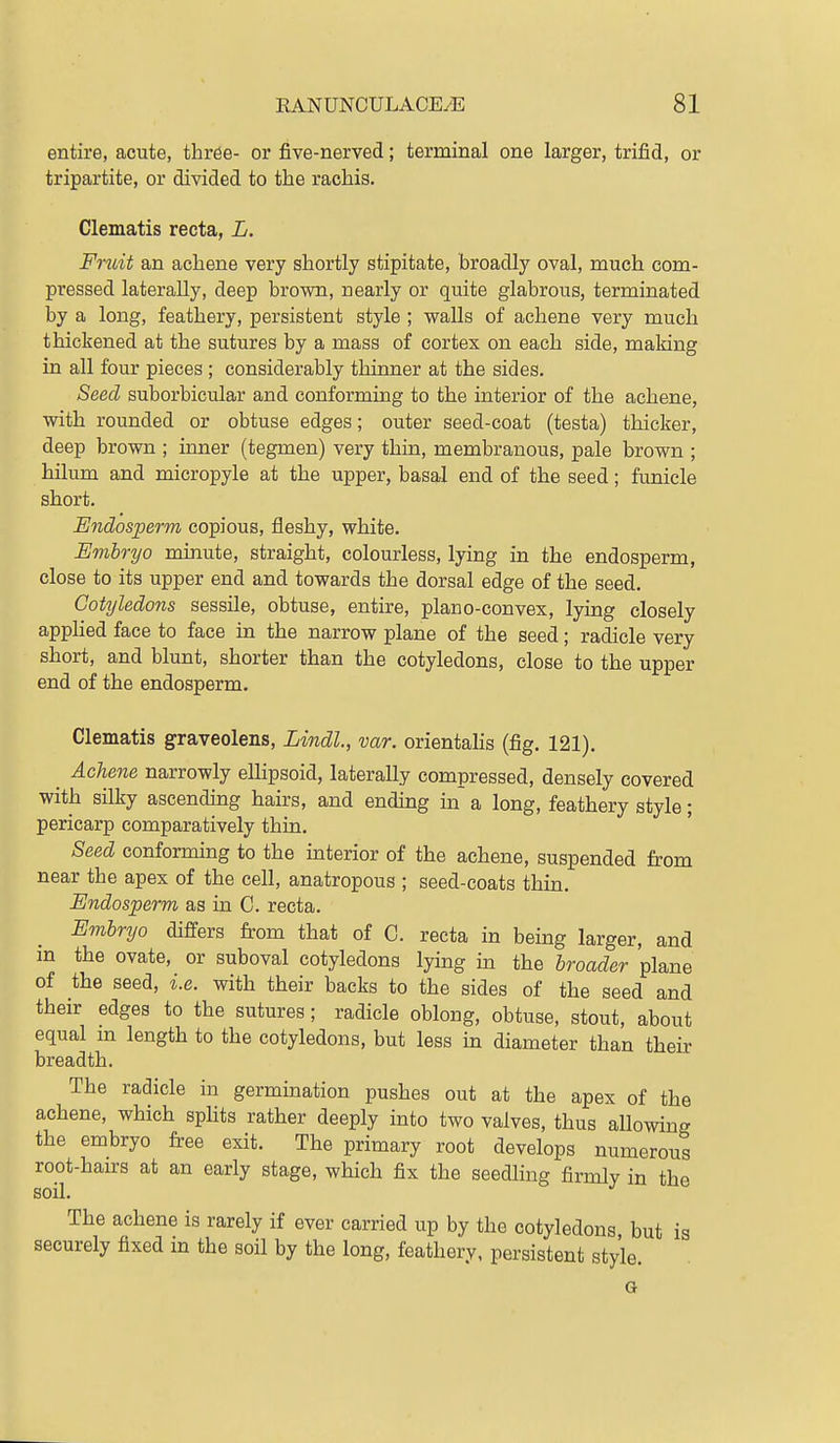 entire, acute, three- or five-nerved; terminal one larger, trifid, or tripartite, or divided to the rachis. Clematis recta, L. Fruit an achene very shortly stipitate, broadly oval, much com- pressed laterally, deep brown, nearly or quite glabrous, terminated by a long, feathery, persistent style ; walls of achene very much thickened at the sutures by a mass of cortex on each side, making in all four pieces ; considerably thinner at the sides. Seed suborbicular and conforming to the interior of the achene, with rounded or obtuse edges; outer seed-coat (testa) thicker, deep brown ; inner (tegmen) very thin, membranous, pale brown ; hilum and micropyle at the upper, basal end of the seed; funicle short. Endosperm copious, fleshy, white. Embryo minute, straight, colourless, lying in the endosperm, close to its upper end and towards the dorsal edge of the seed. Cotyledons sessile, obtuse, entire, plano-convex, lying closely appHed face to face in the narrow plane of the seed; radicle very short, and blunt, shorter than the cotyledons, close to the upper end of the endosperm. Clematis graveolens, Lindl, var. orientalis (fig. 121). _ Achene narrowly ellipsoid, laterally compressed, densely covered with silky ascendmg hairs, and ending in a long, feathery style; pericarp comparatively thin. Seed conforming to the interior of the achene, suspended from near the apex of the cell, anatropous ; seed-coats thin. Endosperm as in C. recta. Embryo differs from that of C. recta in being larger, and in the ovate, or suboval cotyledons lying in the broader plane of the seed, i.e. with their backs to the sides of the seed and their edges to the sutures; radicle oblong, obtuse, stout, about equal m length to the cotyledons, but less in diameter than their breadth. The radicle in germination pushes out at the apex of the achene, which splits rather deeply into two valves, thus allowing the embryo free exit. The primary root develops numerous root-hairs at an early stage, which fix the seedling firmly in the soil. The achene is rarely if ever carried up by the cotyledons but is securely fixed in the soil by the long, feathery, persistent style. G