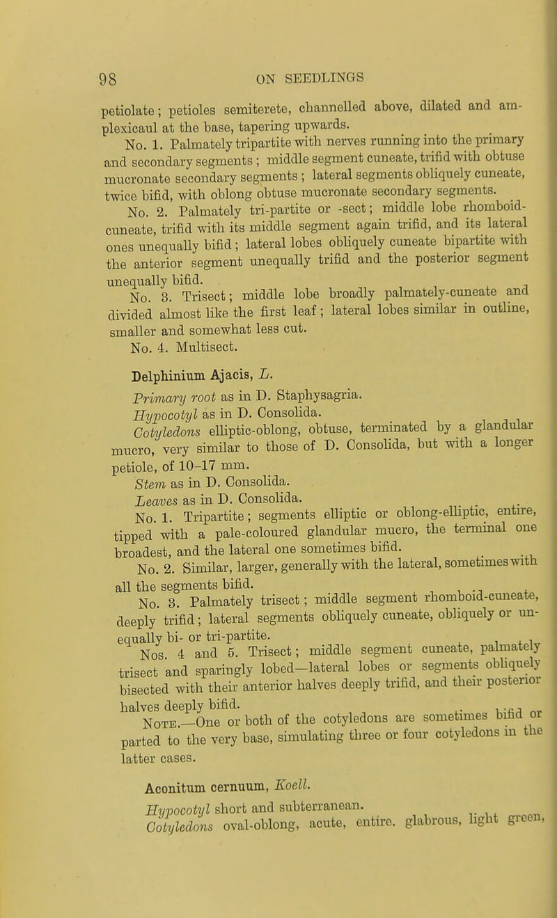 petiolate; petioles semiterete, channelled above, dilated and am- plexicaul at the base, tapering upwards. No. 1. Palmately tripartite with nerves running into the primary and secondary segments ; middle segment cuneate, trifid with obtuse mucronate secondary segments ; lateral segments obUquely cuneate, twice bifid, with oblong obtuse mucronate secondary segments. No. 2. Palmately tri-partite or -sect; middle lobe rhomboid- cuneate, trifid with its middle segment again trifid, and its lateral ones unequally bifid ; lateral lobes obhquely cuneate bipartite with the anterior segment unequally trifid and the posterior segment unequally bifid. No. 3. Trisect; middle lobe broadly palmately-cuneate and divided almost hke the first leaf; lateral lobes sumlar in outline, smaller and somewhat less cut. No. 4. Multisect. Delphinium Ajacis, L. Primary root as in D. Staphysagria. Hypocotyl as in D. Consolida. Cotyledons elliptic-oblong, obtuse, terminated by a glandular mucro, very similar to those of D. Consolida, but with a longer petiole, of 10-17 mm. Stem as in D. Consolida. Leaves as m D. Consolida. No. 1. Tripartite; segments elliptic or oblong-eUiptic, entne, tipped with a pale-coloured glandular mucro, the terminal one broadest, and the lateral one sometimes bifid. No. 2. Similar, larger, generaUy with the lateral, sometimeswith all the segments bifid. , , ^ No. 3. Palmately trisect; middle segment rhomboid-cuneate, deeply trifid; lateral segments obliquely cuneate, obhquely or un- equally hi- or tri-partite. , + w Nos 4 and 5. Trisect; middle segment cuneate, palmately trisect and sparingly lobed-lateral lobes or segments obliquely bisected with their anterior halves deeply trifid, and then- posterior halves deeply bifid. Note —One or both of the cotyledons are sometimes bifid or parted to the very base, simulating three or four cotyledons m the latter cases. Aconitum cernuum, Koell. Hypocotyl short and subterranean. Cotyledons oval-oblong, acute, entire, glabrous, hght green.