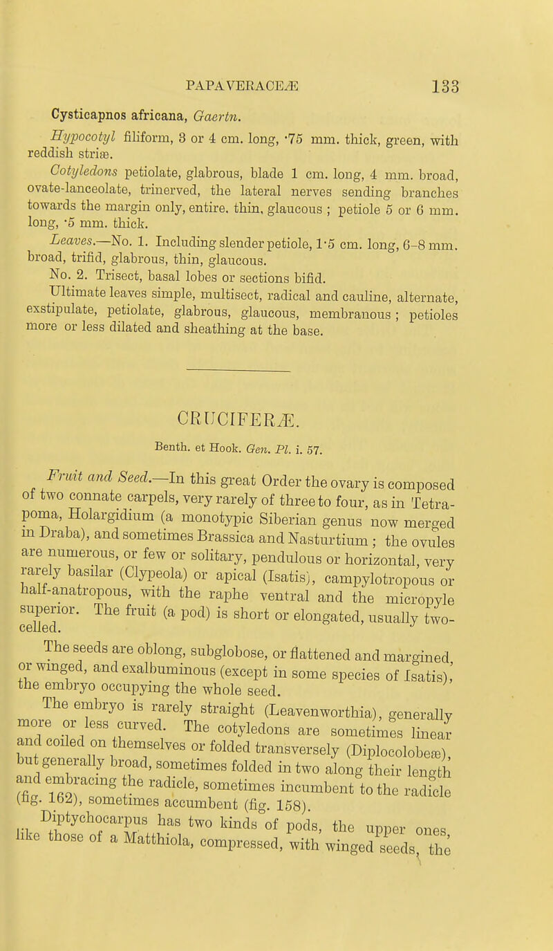 Cysticapnos africana, Gaertn. Hypocotyl filiform, 8 or 4 cm. long, -75 mm. thick, green, with reddish strife. Cotyledons petiolate, glabrous, blade 1 em. long, 4 mm. broad, ovate-lanceolate, trinerved, the lateral nerves sending branches towards the margin only, entire, thin, glaucous ; petiole 5 or 6 mm. long, -5 mm. thick. Leaves.—^0. 1. Including slender petiole, 1-5 cm. long, 6-8 mm. broad, trifid, glabrous, thin, glaucous. No. 2. Trisect, basal lobes or sections bifid. Ultimate leaves simple, multisect, radical and cauhne, alternate, exstipulate, petiolate, glabrous, glaucous, membranous; petioles more or less dilated and sheathing at the base. CRUCIFERiE. Benth. et Hook. Gen. PI. i. 57. Fruit and Seed.—ln this great Order the ovary is composed of two connate carpels, very rarely of three to four, as in Tetra- poma, Holargidium (a monotypic Siberian genus now merged m Draba), and sometimes Brassica and Nasturtium; the ovules are numerous, or few or solitary, pendulous or horizontal, very rarely basilar (Clypeola) or apical (Isatis), campylotropous or half-anatropous, with the raphe ventral and the micropvle superior. The fruit (a pod) is short or elongated, usually two- The seeds are oblong, subglobose, or flattened and margined or wmged, and exalbuminous (except in some species of Isatis),' the embryo occupying the whole seed. The embryo is rarely straight (Leavenworthia), generally more or less curved. The cotyledons are sometimes linear bnfr 1^1 T^^'' or folded transversely (Diplocolobe^), bu generally broad, sometimes folded in two along their length 2t it;' ' incumbent to the radicle (Hg. 162), sometimes accumbent (fia 158) Diptychocarpus has two kinds of pods, the upper ones like those of a Matthiola, compressed, with wingedVeeds'The