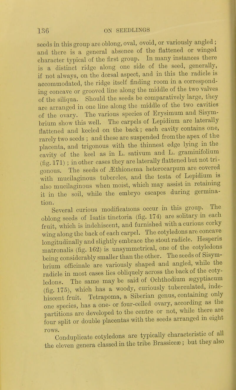 seeds in this group are oblong, oval, ovoid, or variously angled ; and there is a general absence of the flattened or winged character typical of the first group. In many instances there is a distinct ridge along one side of the seed, generally, if not always, on the dorsal aspect, and in this the radicle is accommodated, the ridge itself finding room in a correspond- ing concave or grooved line along the middle of the two valves of the siliqua. Should the seeds be comparatively large, they are arranged in one line along the middle of the two cavities of the ovary. The various species of Erysimum and Sisym- brium show this well. The carpels of Lepidium are laterally flattened and keeled on the back; each cavity contains one, rarely two seeds ; and these are suspended from the apex of the placenta, and trigonous with the thinnest edge lying in the cavity of the keel as in L. sativum and L. graminifolmm (fig. 171) ; in other cases they are laterally flattened but not tri- . gonous. The seeds of .Ethionema heterocarpum are covered with mucilaginous tubercles, and the testa of Lepidium^ is also mucilaginous when moist, which may assist in retammg it in the soil, while the embryo escapes during germma- tion. , Several curious modifications occur m this group, ine oblong seeds of Isatis tinctoria (fig. 174) are sohtary in each fruit, which is indehiscent, and furnished with a curious corky wing along the back of each carpel. The cotyledons are concave longitudinally and slightly embrace the stout radicle. Hesperis matronalis (fig. 162) is unsymmetrical, one of the cotyledons being considerably smaller than the other. The seeds of Sisym- brium officmale are variously shaped and angled, whHe the radicle in most cases Ues obliquely across the back of the coty- ledons. The same may be said of Ochthodium jegyptiacum (fig 175), which has a woody, curiously tuberculated, inde- hiscent fruit. Tetrapoma, a Siberian genus, contammg only one species, has a one- or four-celled ovary, according as the partitions are developed to the centre or not, while there are four spHt or double placentas with the seeds arranged m eight rows. Conduplicate cotyledons are typically characteristic of all the eleven genera classed in the tribe Brassice®; but they also