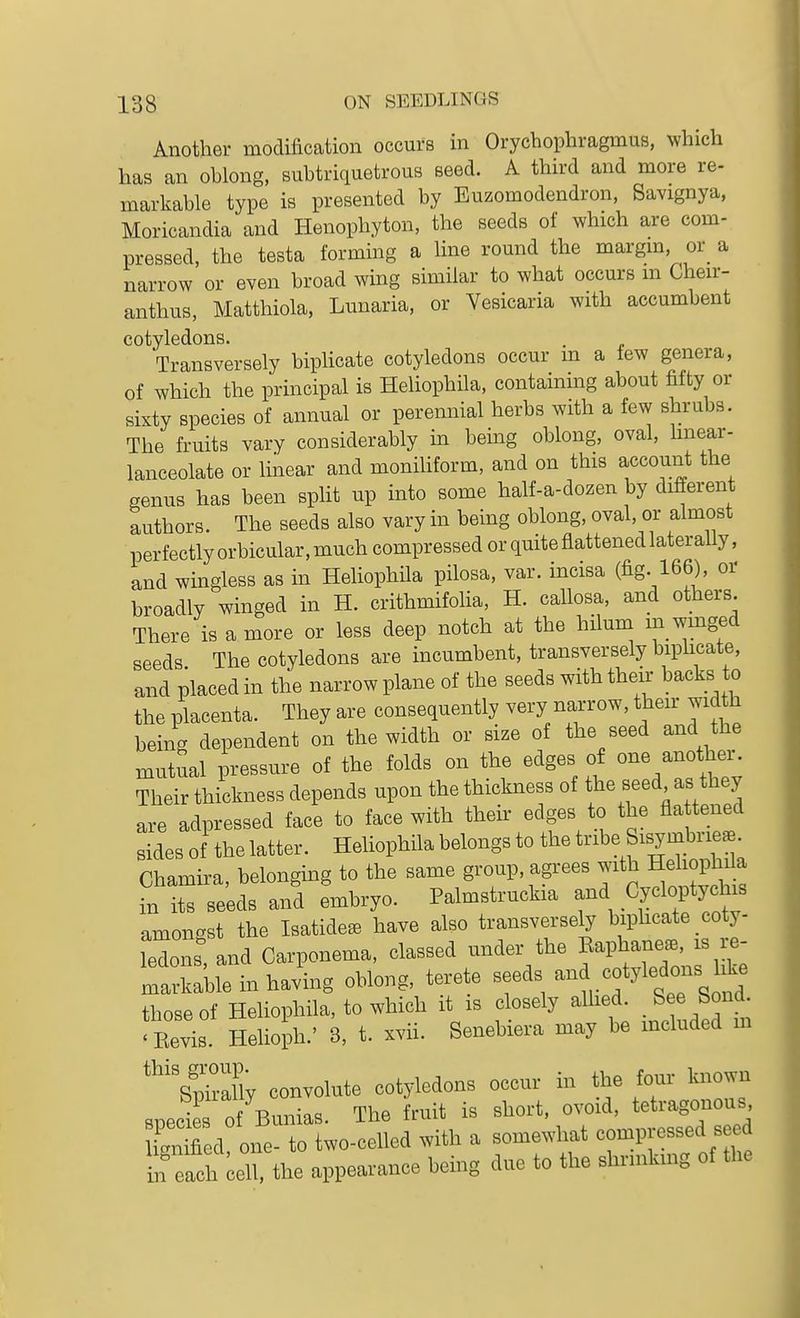 Another modification occurs in Orycbophragmus, which has an oblong, subtriquetrous seed. A third and more re- markable type is presented by Euzomodendron, Savignya, Moricandia and Henophyton, the seeds of which are com- pressed, the testa forming a line romid the margm, or_ a narrow or even broad wing similar to what occurs m Cheu- anthus, Matthiola, Lunaria, or Vesicaria with accumbent cotyledons. Transversely biphcate cotyledons occur m a lew genera, of which the principal is Heliophila, containing about fifty or sixty species of annual or perennial herbs with a few shrubs. The fruits vary considerably in bemg oblong, oval, Imear- lanceolate or linear and moniliform, and on this account the genus has been split up into some half-a-dozen by different authors. The seeds also vary in being oblong, oval, or almost perfectly orbicular, much compressed or quite flattened lateraUy, and wingless as in Heliophila pilosa, var. incisa (^g- 166), or broadly winged in H. crithmifoha, H. callosa, and others. There is a more or less deep notch at the hilum in wmged seeds The cotyledons are incumbent, transversely biphcate, and placed in the narrow plane of the seeds with their backs to the placenta. They are consequently very narrow, their width being dependent on the width or size of the seed and the mutual pressure of the folds on the edges of one another. Their thickness depends upon the thickness of the seed as they are adpressed face to face with their edges to the fia tened Bides of the latter. Heliophila belongs to the tribe Sisymbrie^ rhamira belonging to the same group, agrees with Heliophila fn itTse'eds and embryo. Palmstruckia -d Wyeh. amongst the Isatide^ have also transversely biphcate coty- ledons, and Carponema, classed under the Eaphane^. is re- markable in having oblong, terete ^f^^^^^.^f^^^^^^^ those of Heliophila, to which it is closely allied. . See Sond 'Eevis. Hehoph.' 3, t. xvii. Senebiera may be included m '^phaUy convolute cotyledons occur in the four known snecies of Bunias. The fruit is short, ovoid, tetragonous Sed one- to two-celled with a somewhat compressed seed n eir^ell, the appearance being due to the shrinking of the