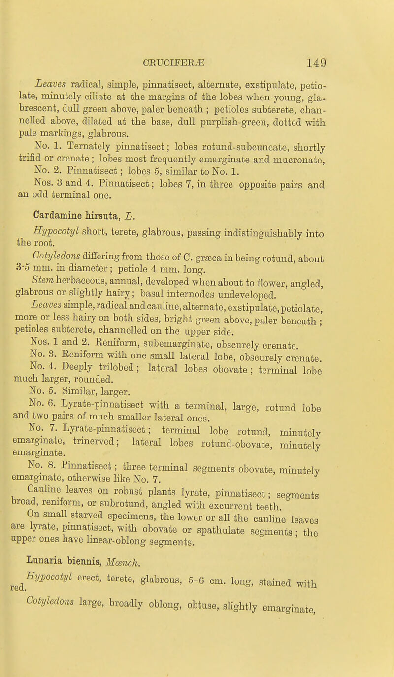 Leaves radical, simple, pinnatisect, alternate, exstipulate, petio- late, minutely ciliate at the margins of the lobes when young, gla- brescent, dull green above, paler beneath ; petioles subterete, chan- nelled above, dilated at the base, dull purphsh-green, dotted with pale markings, glabrous. No. 1. Ternately pinnatisect; lobes rotund-subcuneate, shortly trifid or crenate; lobes most frequently emarginate and mucronate, No. 2. Pinnatisect; lobes 6, similar to No. 1. Nos. 3 and 4. Pinnatisect; lobes 7, in three opposite pairs and an odd terminal one. Cardamine Mrsuta, L. HijpoGotyl short, terete, glabrous, passing indistinguishably into the root. Cotyledons differing from those of C. grsca in being rotund, about 3-5 mm. in diameter; petiole 4 mm. long. >S^em herbaceous, annual, developed when about to flower, angled, glabrous or slightly hairy ; basal internodes undeveloped. Leaves simple, radical and cauline, alternate, exstipulate, petiolate, more or less hairy on both sides, bright green above, paler beneath ; petioles subterete, channelled on the upper side. Nos. 1 and 2. Eeniform, subemarginate, obscurely crenate. No. 3. Eeniform with one small lateral lobe, obscurely crenate. No. 4. Deeply trilobed; lateral lobes obovate ; terminal lobe much larger, rounded. No. 5. Similar, larger. No. 6. Lyrate-pinnatisect with a terminal, large, rotund lobe and two pairs of much smaller lateral ones. No. 7. Lyrate-pinnatisect; terminal lobe rotund, minutely emarginate, trinerved; lateral lobes rotund-obovate, minutely emarginate. No. 8. Pinnatisect; three terminal segments obovate, minutely emargmate, otherwise like No. 7. Cauline leaves on robust plants lyrate, pinnatisect; segments broad, remform, or subrotund, angled with excurrent teeth On small starved specimens, the lower or aU the cauhne leaves are lyrate, pmnatisect, with obovate or spathulate segments • the upper ones have hnear-oblong segments. ' Lunaria biennis, Mmich. ^^Hypocotyl erect, terete, glabrous, 5-6 cm. long, stained with Cotyledons large, broadly oblong, obtuse, slightly emargmate,