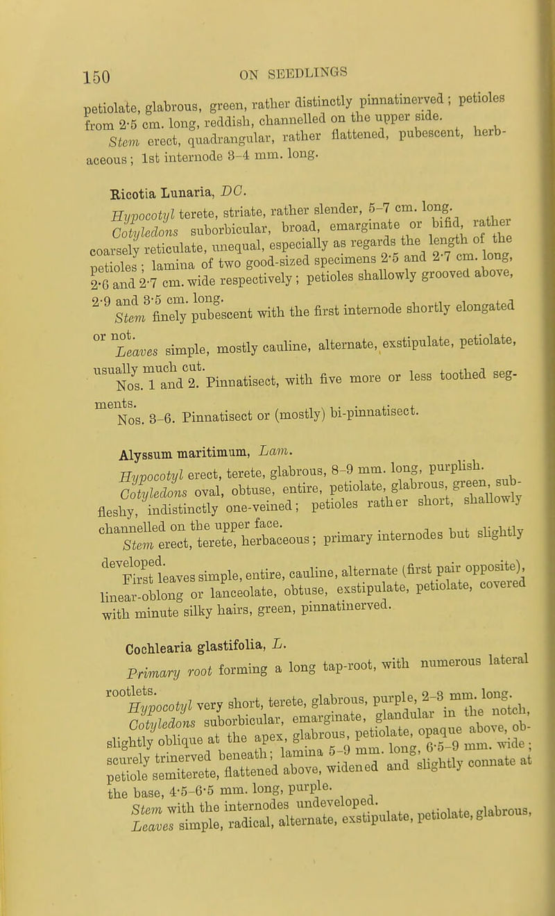 petiolate, glabrous, green, rather distinctly pmnatinerved ; petioles from 2-5 cm. long, reddish, channelled on the upper side. Stem erect, quadrangular, rather flattened, pubescent, herb- aceous ; 1st internode 3-4 mm. long. Eicotia Lunaria, DC. Hypocotyl terete, striate, rather slender, 5-7 cm. long. Coiyledons suborbicular, broad, emargmate or bifid lather coarsely reticulate, unequal, especially as ^^^-f^'^^'t^^^^^^^ netioles • lamina of two good-sized specimens 2-5 and 2 7 cm. long, I^and 2-7 cm. wide respectively; petioles shallowly grooved above. S^Jfi'nTy pubescent with the first internode shortly elongated °' ila.es simple, mostly cauline, alternate, exstipulate, petiolate, ^tiTatdt Pinnatisect, with five more or less toothed seg- No's. 3-6. Pinnatisect or (mostly) bi-pinnatisect. Alyssum maritimum, Lam. Hypocotyl erect, terete, glabrous, 8-9 mm. long, purphsh cZledL oval, obtuse, entire, petiolate glabrous gi^^^^^^^ fleshy, indistinctly one-veined; petioles rather short, shaUowly channelled on the upper face. n t, ^lirrliflv Sim erect, terete, herbaceous; prhnary mternodes but shghtly '''t°rst taves simple, entire, cauline, alternate (first pair opposite) line^llong or lanceolate, obtuse, eKstipulate, petiolate. covered with minute silky hairs, green, pinnatmerved. CocMearia glastifolia, L. Primary root formmg a long tap-root, with numerous lateral '''n^Lcotyl very short, terete, glabrous, purple, 2-3 mm. long S £ uLrbicular, emarginate, glandular in the notcli. .igh^n'li^^e at the ape. g^^^^^^^^^ -r^^Tr9^t^:^at: the base, 4-5-6-5 mm. long, purple. irrt—^^^^^^