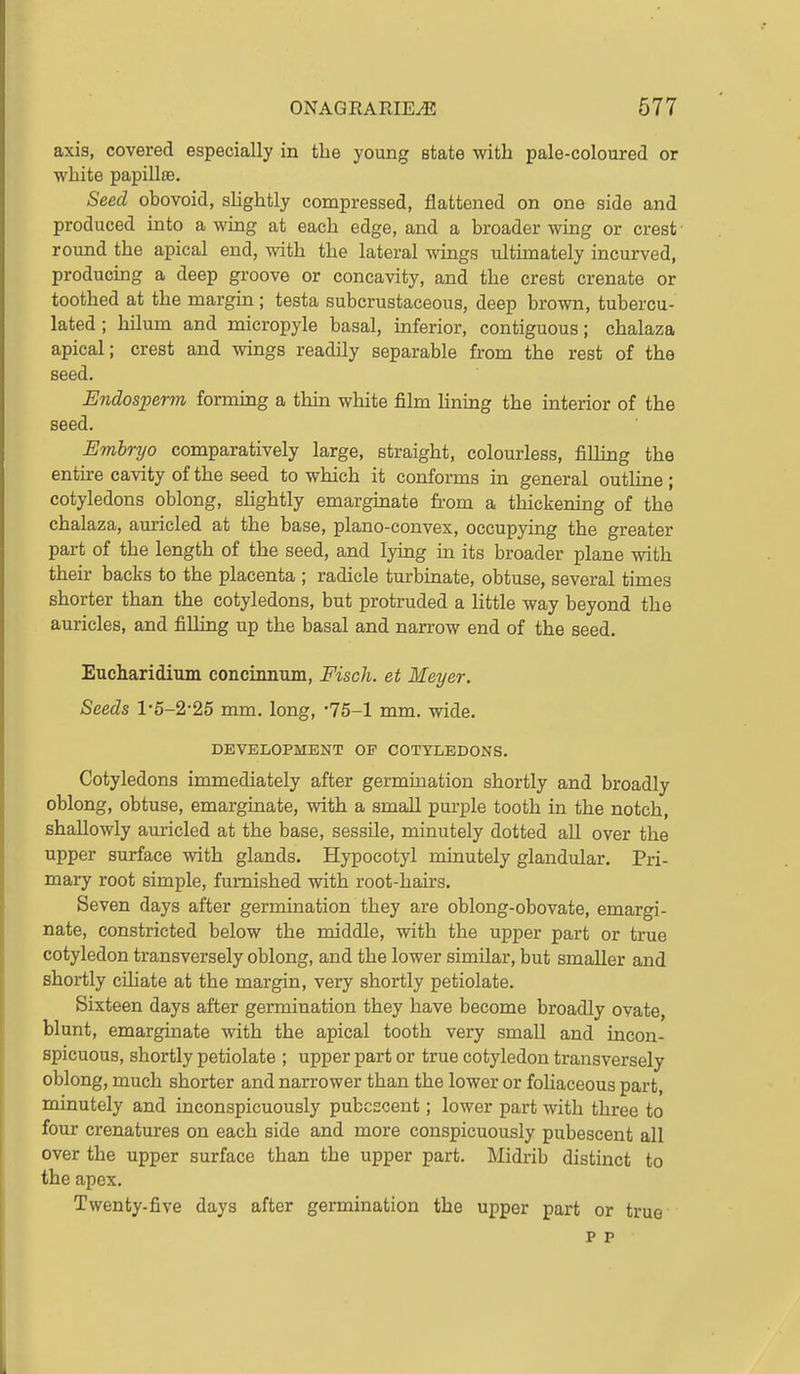 axis, covered especially in the young state with pale-coloured or white papillae. Seed obovoid, slightly compressed, flattened on one side and produced into a wing at each edge, and a broader wing or crest round the apical end, with the lateral wings ultimately incurved, producmg a deep groove or concavity, and the crest crenate or toothed at the margin ; testa subcrustaceous, deep brown, tubercu- lated; hilum and micropyle basal, inferior, contiguous; chalaza apical; crest and wings readily separable from the rest of the seed. Endosperm forming a thm white film lining the interior of the seed. Embryo comparatively large, straight, colourless, fiUing the entire cavity of the seed to which it conforms in general outline; cotyledons oblong, sHghtly emarginate from a thickening of the chalaza, auricled at the base, plano-convex, occupying the greater part of the length of the seed, and lying in its broader plane with their backs to the placenta ; radicle turbinate, obtuse, several times shorter than the cotyledons, but protruded a little way beyond the auricles, and fiUing up the basal and narrow end of the seed. Eucharidium concinnum, Fisch. et Meyer. Seeds l*5-2-25 mm. long, '75-1 mm. wide. DEVELOPMENT OF COTYLEDONS. Cotyledons immediately after germination shortly and broadly oblong, obtuse, emarginate, with a small purple tooth in the notch, shallowly auricled at the base, sessile, minutely dotted all over the upper surface with glands. Hypocotyl minutely glandular. Pri- mary root simple, furnished with root-hairs. Seven days after germination they are oblong-obovate, emargi- nate, constricted below the middle, with the upper part or true cotyledon transversely oblong, and the lower similar, but smaller and shortly ciliate at the margin, very shortly petiolate. Sixteen days after germination they have become broadly ovate, blunt, emarginate with the apical tooth very small and incon- spicuous, shortly petiolate ; upper part or true cotyledon transversely oblong, much shorter and narrower than the lower or fohaceous part, minutely and inconspicuously pubescent; lower part with three to four crenatures on each side and more conspicuously pubescent all over the upper surface than the upper part. Midrib distinct to the apex. Twenty-five days after germination the upper part or true p p