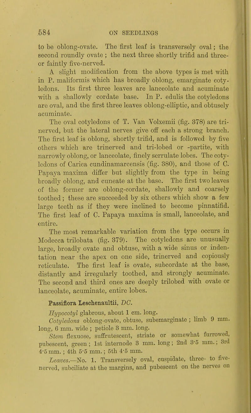to be oblong-ovate. The first leaf is transversely oval; the second roundly ovate ; the next three shortly trifid and three- or faintly five-nerved. A slight modification from the above types is met with in P. maliformis which has broadly oblong, emarginate coty- ledons. Its first three leaves are lanceolate and acuminate with a shallowly cordate base. In P. edulis the cotyledons are oval, and the first three leaves oblong-elliptic, and obtusely acuminate. The oval cotyledons of T. Van Volxemii (fig. 378) are tri- nerved, but the lateral nerves give off each a strong branch. The first leaf is oblong, shortly trifid, and is followed by five others which are trinerved and tri-lobed or -partite, with narrowly oblong, or lanceolate, finely serrulate lobes. The coty- ledons of Carica cundinamarcensis (fig. 380), and those of C. Papaya maxima differ but slightly from the type in being broadly oblong, and cuneate at the base. The first two leaves of the former are oblong-cordate, shallowly and coarsely toothed; these are succeeded by six others which show a few large teeth as if they were inclined to become pinnatifid. The first leaf of C. Papaya maxima is small, lanceolate, and entire. The most remarkable variation from the type occurs in Modecca trilobata (fig. 379). The cotyledons are unusually large, broadly ovate and obtuse, with a wide sinus or inden- tation near the apex on one side, trmerved and copiously reticulate. The first leaf is ovate, subcordate at the base, distantly and irregularly toothed, and strongly acuminate. The second and third ones are deeply trilobed with ovate or lanceolate, acuminate, entire lobes. Passiflora Leschenaultii, DG. Hypocotyl glabrous, about 1 cm. long. Cotyledons oblong-ovate, obtuse, subemarginate ; limb 9 mm. long, 6 mm. wide ; petiole 3 mm. long. Stem flexuose, suffrutescent, striate or somewhat furrowed, pubescent, green ; 1st internode 3 mm. long; 2nd 3-5 mm.; 8rd 4-5 mm.; 4th 5*5 mm.; 5th 4-5 mm. Leaves.—Bo. 1. Transversely oval, cuspidate, three- to five- nerved, subciliate at the margins, and pubescent on the nerves on