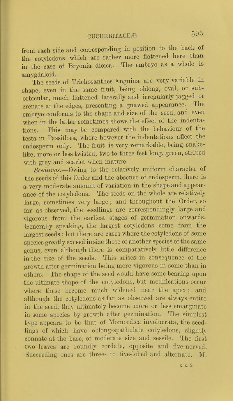 OUCUKBITACE^ from each side and corresponding in position to the back of the cotyledons which are rather more flattened here than in the case of Bryonia dioica. The embryo as a whole is amygdaloid. The seeds of Trichosanthes Anguma are very variable in shape, even in the same fruit, being oblong, oval, or sub- orbicular, much flattened laterally and irregularly jagged or crenate at the edges, presenting a gnawed appearance. The embryo conforms to the shape and size of the seed, and even when in the latter sometimes shows the effect of the indenta- tions. This may be compared with the behaviour of the testa in Passiflora, where however the indentations affect the endosperm only. The fruit is very remarkable, bemg snake- hke, more or less twisted, two to three feet long, green, striped with grey and scarlet when mature. Seedlings.—Owing to the relatively uniform character of the seeds of this Order and the absence of endosperm, there is a very moderate amount of variation in the shape and appear- ance of the cotyledons. The seeds on the whole are relatively large, sometimes very large ; and throughout the Order, so far as observed, the seedlings are correspondingly large and vigorous from the earliest stages of germination onwards. Generally speaking, the largest cotyledons come from the largest seeds ; but there are cases where the cotyledons of some species greatly exceed in size those of another species of the same genus, even although there is comparatively little diflerence in the size of the seeds. This arises in consequence of the growth after germination being more vigorous in some than in others. The shape of the seed would have some bearing upon the ultimate shape of the cotyledons, but modifications occur where these become much widened near the apex; and although the cotyledons as far as observed are always entire in the seed, they ultimately become more or less emarginate in some species by growth after germmation. The simplest type appears to be that of Momordica involucrata, the seed- lings of which have oblong-spathulate cotyledons, slightly connate at the base, of moderate size and sessile. The first two leaves are roundly cordate, opposite and five-nerved. Succeeding ones are three- to five-lobed and alternate. M. y Q 2