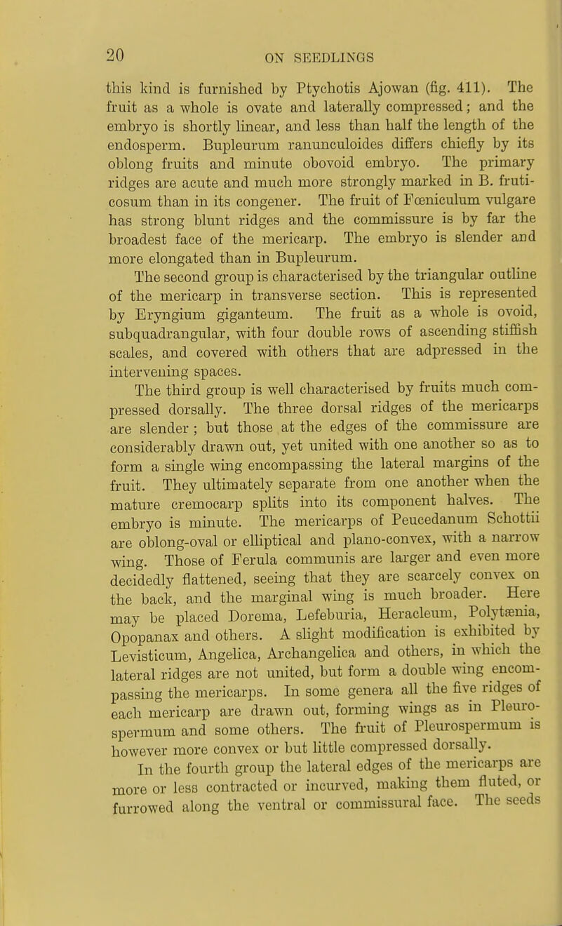 this kind is furnished by Ptychotis Ajowan (fig. 411). The fruit as a whole is ovate and laterally compressed; and the embryo is shortly linear, and less than half the length of the endosperm. Bupleurum ranunculoides differs chiefly by its oblong fruits and minute obovoid embryo. The primary ridges are acute and much more strongly marked in B. fruti- cosum than in its congener. The fruit of Foeniculum vulgare has strong blunt ridges and the commissure is by far the broadest face of the mericarp. The embryo is slender and more elongated than in Bupleurum. The second group is characterised by the triangular outline of the mericarp in transverse section. This is represented by Eryngium giganteum. The fruit as a whole is ovoid, subquadrangular, with four double rows of ascending stiffish scales, and covered with others that are adpressed in the intervening spaces. The third group is well characterised by fruits much com- pressed dorsally. The three dorsal ridges of the mericarps are slender ; but those at the edges of the commissure are considerably drawn out, yet united with one another so as to form a single wing encompassing the lateral margins of the fruit. They ultimately separate from one another when the mature cremocarp splits into its component halves. The embryo is minute. The mericarps of Peucedanum Schottii are oblong-oval or elliptical and plano-convex, with a narrow wing. Those of Ferula communis are larger and even more decidedly flattened, seeing that they are scarcely convex on the back, and the marginal wmg is much broader. Here may be placed Dorema, Lefeburia, Heracleum, Polytaema, Opopanax and others. A sHght modification is exhibited by Levisticum, Angelica, Archangelica and others, in which the lateral ridges are not united, but form a double wing encom- passing the mericarps. In some genera all the five ridges of each mericarp are drawn out, forming wings as in Pleuro- spermum and some others. The fruit of Pleurospermum is however more convex or but little compressed dorsally. In the fourth group the lateral edges of the mericarps are more or less contracted or incurved, making them fluted, or furrowed along the ventral or commissural face. The seeds