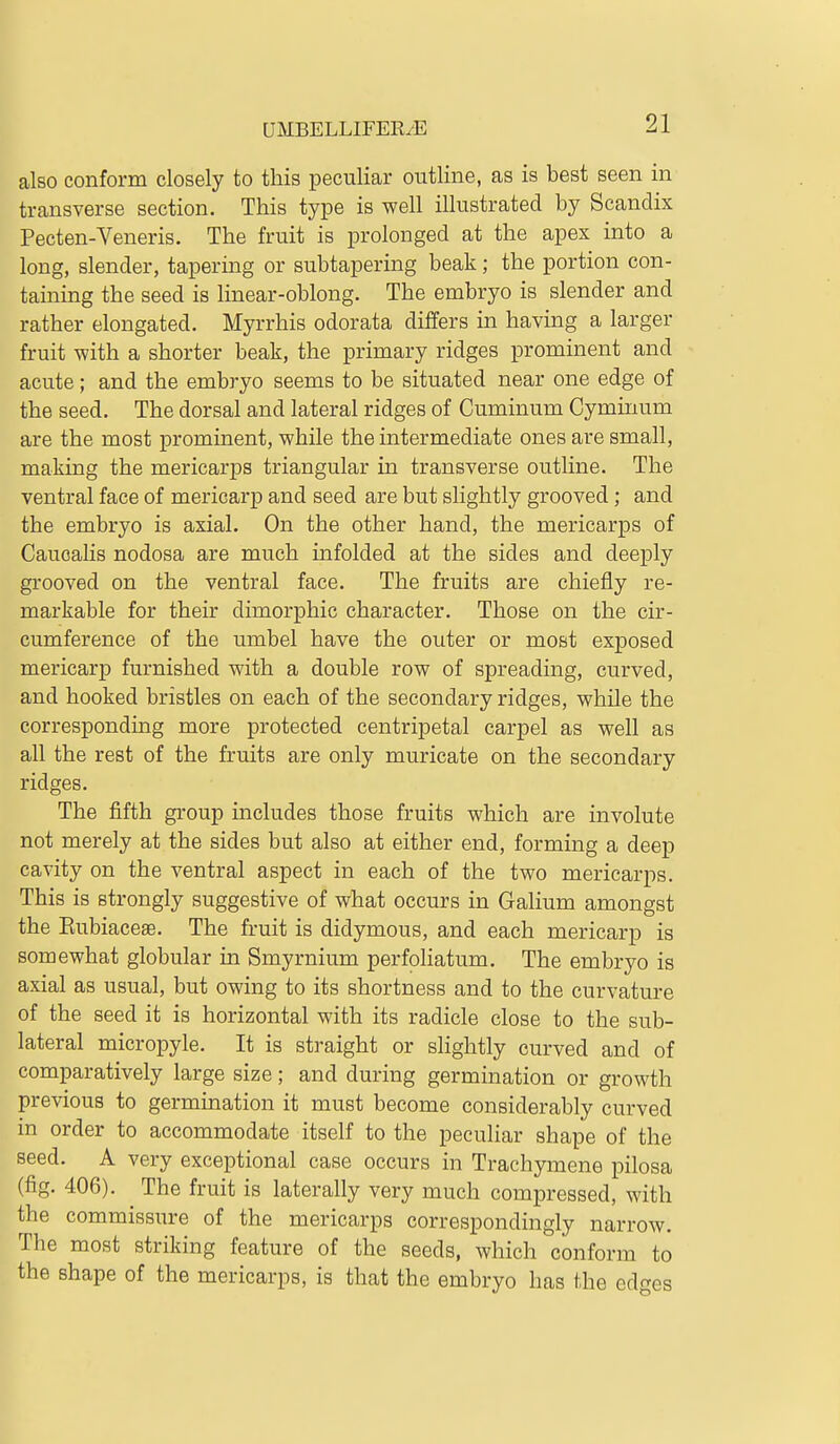 also conform closely to this peculiar outline, as is best seen in transverse section. This type is well illustrated by Scandix Pecten-Veneris. The fruit is prolonged at the apex into a long, slender, tapering or subtapering beak; the portion con- taining the seed is linear-oblong. The embryo is slender and rather elongated. Myrrhis odorata differs in having a larger fruit with a shorter beak, the primary ridges prominent and acute; and the embryo seems to be situated near one edge of the seed. The dorsal and lateral ridges of Cuminum Cyminum are the most prominent, while the intermediate ones are small, making the mericarps triangular in transverse outline. The ventral face of mericarp and seed are but slightly grooved; and the embryo is axial. On the other hand, the mericarps of Caucalis nodosa are much infolded at the sides and deeply grooved on the ventral face. The fruits are chiefly re- markable for their dimorphic character. Those on the cir- cumference of the umbel have the outer or most exposed mericarp furnished with a double row of spreading, curved, and hooked bristles on each of the secondary ridges, while the corresponding more protected centrijDetal carpel as well as all the rest of the fruits are only muricate on the secondary ridges. The fifth group includes those fruits which are involute not merely at the sides but also at either end, forming a deep cavity on the ventral aspect in each of the two mericarps. This is strongly suggestive of what occurs in Galium amongst the Eubiaceas. The fruit is didymous, and each mericarp is somewhat globular in Smyrnium perfoHatum. The embryo is axial as usual, but owing to its shortness and to the curvature of the seed it is horizontal with its radicle close to the sub- lateral micropyle. It is straight or slightly curved and of comparatively large size; and during germination or growth previous to germination it must become considerably curved in order to accommodate itself to the peculiar shape of the seed. A very exceptional case occurs in Trachymene pilosa (fig. 406). The fruit is laterally very much compressed, with the commissure of the mericarps correspondingly narrow. The most striking feature of the seeds, which conform to the shape of the mericarps, is that the embryo has the ed^es