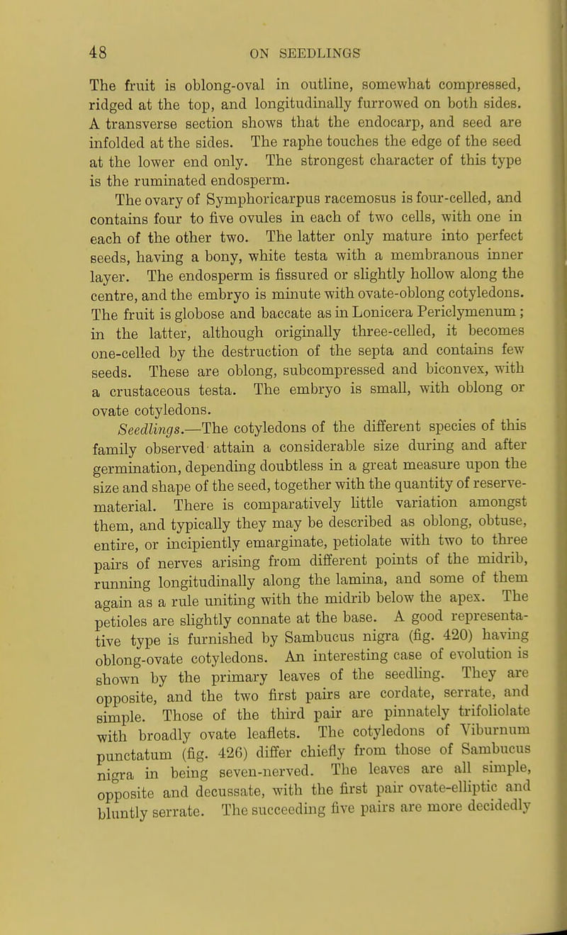 The fruit is oblong-oval in outline, somewhat compressed, ridged at the top, and longitudinally furrowed on both sides. A transverse section shows that the endocarp, and seed are infolded at the sides. The raphe touches the edge of the seed at the lower end only. The strongest character of this type is the ruminated endosperm. The ovary of Symphoricarpus racemosus is four-celled, and contains four to five ovules in each of two cells, with one in each of the other two. The latter only mature into perfect seeds, having a bony, white testa with a membranous inner layer. The endosperm is fissured or shghtly hollow along the centre, and the embryo is minute with ovate-oblong cotyledons. The fruit is globose and baccate as in Lonicera Periclymenum; in the latter, although originally three-celled, it becomes one-celled by the destruction of the septa and contains few seeds. These are oblong, subcompressed and biconvex, with a crustaceous testa. The embryo is small, with oblong or ovate cotyledons. Seedlings.—The cotyledons of the different species of this family observed attain a considerable size during and after germination, depending doubtless in a great measure upon the size and shape of the seed, together with the quantity of reserve- material. There is comparatively little variation amongst them, and typically they may be described as oblong, obtuse, entire, or incipiently emarginate, petiolate with two to three pairs of nerves arising from different points of the midrib, running longitudinally along the lamina, and some of them again as a rule uniting with the midrib below the apex. The petioles are slightly connate at the base. A good representa- tive type is furnished by Sambucus nigra (fig. 420) havmg oblong-ovate cotyledons. An interesting case of evolution is shown by the primary leaves of the seedhng. They are opposite, and the two first pairs are cordate, serrate, and simple. Those of the third pair are pinnately trifoliolate with broadly ovate leaflets. The cotyledons of Viburnum punctatum (fig. 426) differ chiefly from those of Sambucus nigra in being seven-nerved. The leaves are all simple, opposite and decussate, with the first pair ovate-elliptic and bluntly serrate. The succeeding five pairs are more decidedly