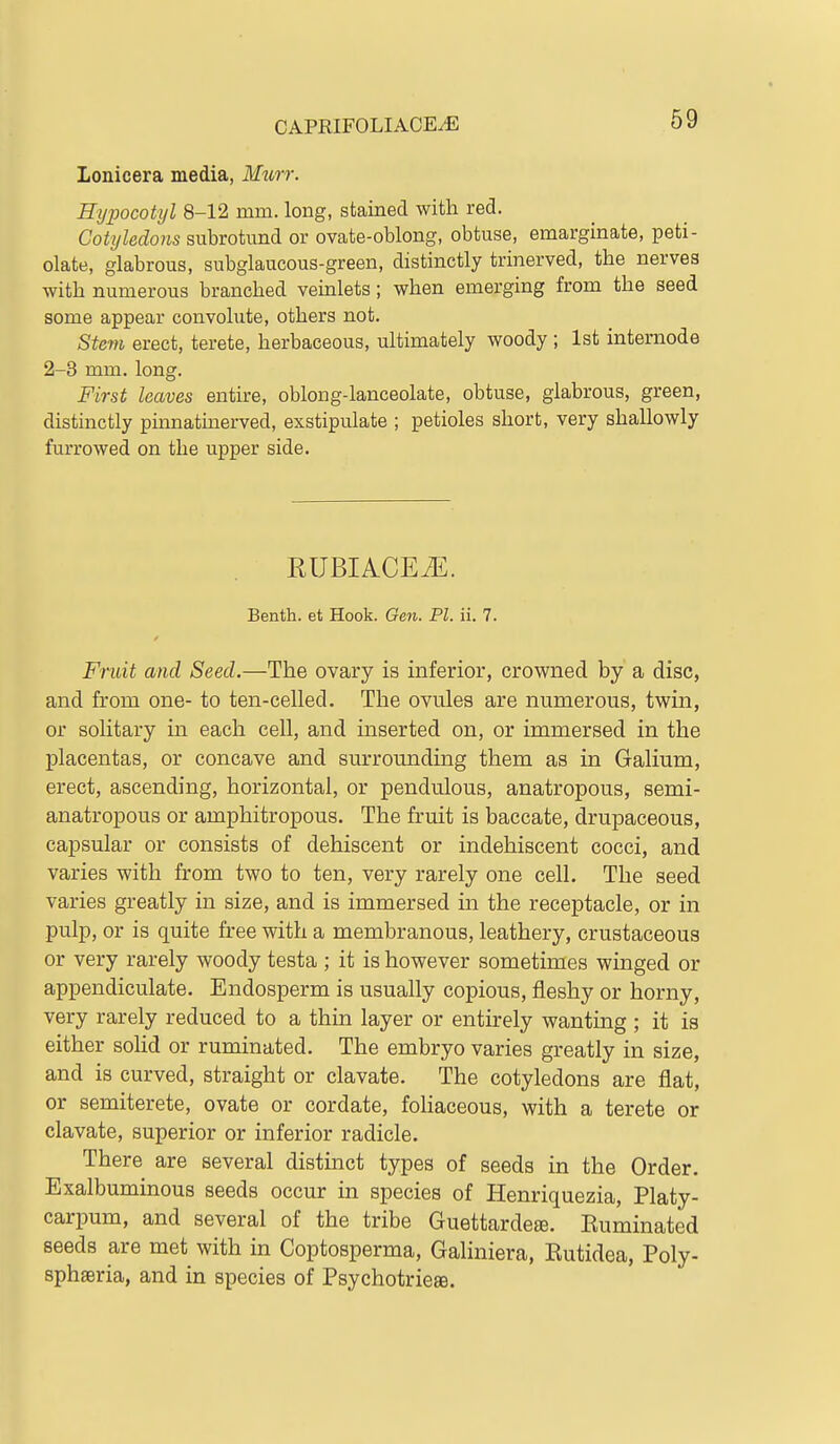Lonicera media, Mttrr. Hypocotyl 8-12 mm. long, stained with red. Cotyledons subrotund or ovate-oblong, obtuse, emarginate, peti- olate, glabrous, subglaucous-green, distinctly trinerved, the nerves with numerous branched veuilets; when emerging from the seed some appear convolute, others not. Stem erect, terete, herbaceous, ultimately woody ; 1st internode 2-3 mm. long. First haves entire, oblong-lanceolate, obtuse, glabrous, green, distinctly pinnatinerved, exstipulate ; petioles short, very shallowly furrowed on the upper side. RUBIACEiE. Benth. et Hook. Gen. PI. ii. 7. Fruit and Seed.—The ovary is inferior, crowned by a disc, and from one- to ten-celled. The ovules are numerous, twin, or solitary in each cell, and inserted on, or immersed in the placentas, or concave and surrounding them as in Galium, erect, ascending, horizontal, or pendulous, anatropous, semi- anatropous or amphitropous. The fruit is baccate, drupaceous, capsular or consists of dehiscent or indehiscent cocci, and varies with from two to ten, very rarely one cell. The seed varies greatly in size, and is immersed in the receptacle, or in pulp, or is quite free with a membranous, leathery, crustaceous or very rarely woody testa ; it is however sometimes winged or appendiculate. Endosperm is usually copious, fleshy or horny, very rarely reduced to a thin layer or entirely wanting ; it is either solid or ruminated. The embryo varies greatly in size, and is curved, straight or clavate. The cotyledons are flat, or semiterete, ovate or cordate, foliaceous, with a terete or clavate, superior or inferior radicle. There are several distinct types of seeds in the Order. Exalbuminous seeds occur in species of Henriquezia, Platy- carpum, and several of the tribe GuettardejB. Euminated seeds are met with in Coptosperma, Galiniera, Kutidea, Poly- sphseria, and in species of Psychotriea.