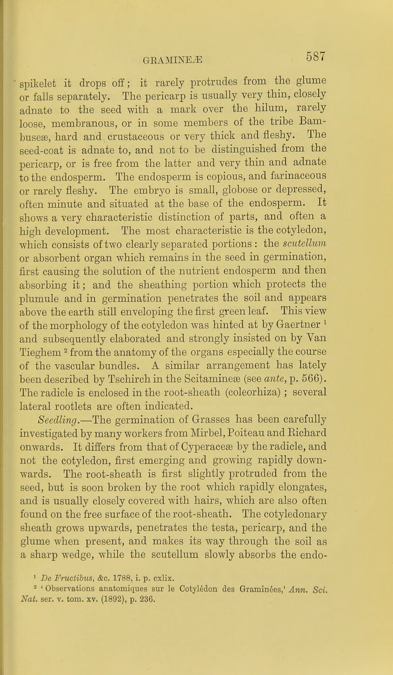 GEAMINEyE spikelet it drops off; it ivarely protrudes from the glume or falls separately. The pericarp is usually very thin, closely adnate to the seed with a mark over the hilum, rarely loose, membranous, or in some members of the tribe Bam- buse£e, hard and crustaceous or very thick and fleshy. The seed-coat is adnate to, and not to be distmguished from the pericarp, or is free from the latter and very thin and adnate to the endosperm. The endosperm is copious, and farinaceous or rarely fleshy. The embryo is small, globose or depressed, often minute and situated at the base of the endosperm. It shows a very characteristic distinction of parts, and often a high development. The most characteristic is the cotyledon, which consists of two clearly separated portions : the scutellum or absorbent organ which remains in the seed in germination, first causing the solution of the nutrient endosperm and then absorbing it; and the sheathmg portion which protects the plumule and in germination penetrates the soil and appears above the earth still enveloping the first green leaf. This view of the morphology of the cotyledon was hinted at by Gaertner ^ and subsequently elaborated and strongly insisted on by Van Tieghem ^ from the anatomy of the organs especially the course of the vascular bundles. A similar arrangement has lately been described by Tschirch in the Scitaminese (see ante, p. 566). The radicle is enclosed in the root-sheath (coleorhiza); several lateral rootlets are often indicated. Seedling.—The germination of Grasses has been carefully investigated by many workers from Mirbel, Poiteau and Eichard onwards. It differs from that of Cyperacete by the radicle, and not the cotyledon, first emerging and growing rapidly down- wards. The root-sheath is first slightly protruded from the seed, but is soon broken by the root which rapidly elongates, and is usually closely covered with hairs, which are also often found on the free surface of the root-sheath. The cotyledonary sheath grows upwards, penetrates the testa, pericarp, and the glume when present, and makes its way through the soil as a sharp wedge, while the scutellum slowly absorbs the endo- ' De Fructibzis, &c. 1788, i. p. cxlix. 2 ' Observations anatomiques sur le Cotyledon des Gramin(5es,' Aim. Sci. Nat. ser. v. torn. xv. (1892), p. 236.