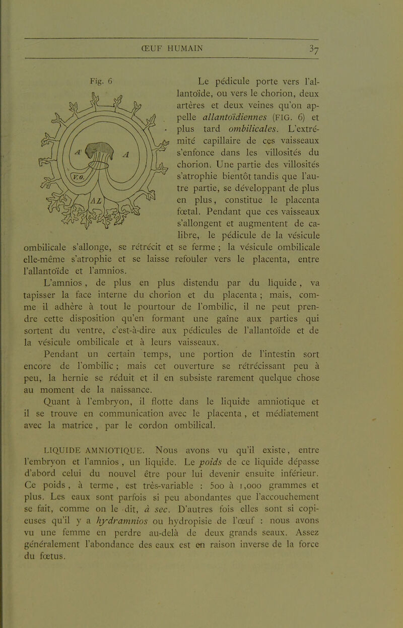 Fig. 6 Le pédicule porte vers l'al- lantoïde, ou vers le chorion, deux artères et deux veines qu'on ap- pelle allantdidiennes (FIG. 6) et plus tard ombilicales. L'extré- mité capillaire de ces vaisseaux s'enfonce dans les villosités du chorion. Une partie des villosités s'atrophie bientôt tandis que l'au- tre partie, se développant de plus en plus, constitue le placenta fœtal. Pendant que ces vaisseaux s'allongent et augmentent de ca- libre, le pédicule de la vésicule ombilicale s'allonge, se rétrécit et se ferme ; la vésicule ombilicale elle-même s'atrophie et se laisse refouler vers le placenta, entre l'allantoïde et l'amnios. L'amnios , de plus en plus distendu par du liquide, va tapisser la face interne du chorion et du placenta ; mais, com- me il adhère à tout le pourtour de l'ombilic, il ne peut pren- dre cette disposition qu'en formant une gaîne aux parties qui sortent du ventre, c'est-à-dire aux pédicules de l'allantoïde et de la vésicule ombilicale et à leurs vaisseaux. Pendant un certain temps, une portion de l'intestin sort encore de l'ombilic ; mais cet ouverture se rétrécissant peu à peu, la hernie se réduit et il en subsiste rarement quelque chose au moment de la naissance. Quant à l'embryon, il flotte dans le liquide amniotique et il se trouve en communication avec le placenta , et médiatement avec la matrice, par le cordon ombilical. LIQUIDE AMNIOTIQUE. Nous avons vu qu'il existe, entre l'embryon et l'amnios , un liquide. Le poids de ce liquide dépasse d'abord celui du nouvel être pour lui devenir ensuite inférieur. Ce poids, à terme, est très-variable : 5oo à i ,000 grammes et plus. Les eaux sont parfois si peu abondantes que l'accouchement se fait, comme on le dit, à sec. D'autres fois elles sont si copi- euses qu'il y a hydramnios ou hydropisie de l'œuf : nous avons vu une femme en perdre au-delà de deux grands seaux. Assez généralement l'abondance des eaux est en raison inverse de la force du fœtus.