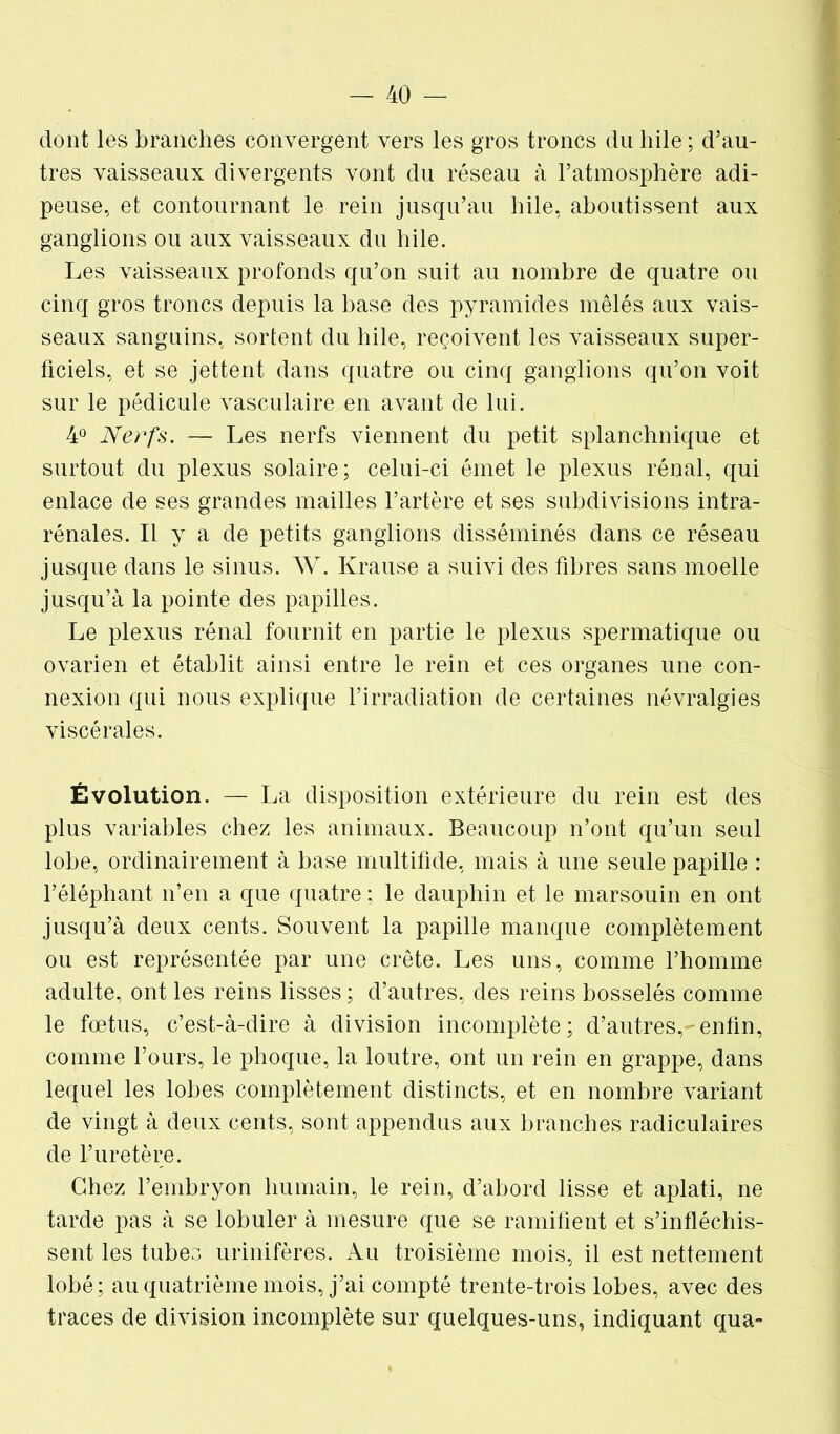 dont les branches convergent vers les gros troncs du hile ; d’au- tres vaisseaux divergents vont du réseau à l’atmosphère adi- peuse, et contournant le rein jusqu’au hile, aboutissent aux ganglions ou aux vaisseaux du hile. Les vaisseaux profonds qu’on suit au nombre de quatre ou cinq gros troncs depuis la base des pyramides mêlés aux vais- seaux sanguins, sortent du hile, reçoivent les vaisseaux super- ficiels, et se jettent dans quatre ou cinq ganglions qu’on voit sur le pédicule vasculaire en avant de lui. 4° Nerfs. — Les nerfs viennent du petit splanchnique et surtout du plexus solaire; celui-ci émet le plexus rénal, qui enlace de ses grandes mailles l’artère et ses subdivisions intra- rénales. Il y a de petits ganglions disséminés dans ce réseau jusque dans le sinus. W. Krause a suivi des fibres sans moelle jusqu’à la pointe des papilles. Le plexus rénal fournit en partie le plexus spermatique ou ovarien et établit ainsi entre le rein et ces organes une con- nexion qui nous explique l’irradiation de certaines névralgies viscérales. Évolution. — La disposition extérieure du rein est des plus variables chez les animaux. Beaucoup n’ont qu’un seul lobe, ordinairement à base multifide, mais à une seule papille : l’éléphant n’en a que quatre ; le dauphin et le marsouin en ont jusqu’à deux cents. Souvent la papille manque complètement ou est représentée par une crête. Les uns, comme l’homme adulte, ont les reins lisses ; d’autres, des reins bosselés comme le fœtus, c’est-à-dire à division incomplète; d’autres,-enfin, comme l’ours, le phoque, la loutre, ont un rein en grappe, dans lequel les lobes complètement distincts, et en nombre variant de vingt à deux cents, sont appendus aux branches radiculaires de l’uretère. Chez l’embryon humain, le rein, d’abord lisse et aplati, ne tarde pas à se lobuler à mesure que se ramifient et s’infléchis- sent les tubes urinifères. Au troisième mois, il est nettement lobé; au quatrième mois, j’ai compté trente-trois lobes, avec des traces de division incomplète sur quelques-uns, indiquant qua**