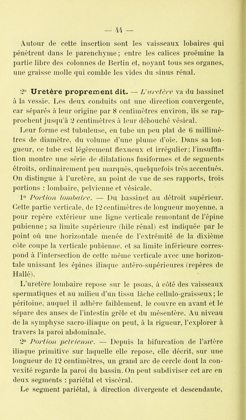 Autour de cette insertion sont les vaisseaux lobaires qui pénètrent dans le parenchyme ; entre les calices proémine la partie libre des colonnes de Bertin et, noyant tous ses organes, une graisse molle qui comble les vides du sinus rénal. 2° Uretère proprement dit. — L'uretère va du bassinet à la vessie. Les deux conduits ont une direction convergente, car séparés à leur origine par 8 centimètres environ, ils se rap- prochent jusqu’à 2 centimètres à leur débouché vésical. Leur forme est tubuleuse, en tube un peu plat de 6 millimè- tres de diamètre, du volume d’une plume d’oie. Dans sa lon- gueur, ce tube est légèrement flexueux et irrégulier; l’insuffla- tion montre une série de dilatations fusiformes et de segments étroits, ordinairement peu marqués, quelquefois très accentués. On distingue à l’uretère, au point de vue de ses rapports, trois portions : lombaire, pelvienne et vésicale. 1° Portion lombaire. — Du bassinet au détroit supérieur. Cette partie verticale, de 12 centimètres de longueur moyenne, a pour repère extérieur une ligne verticale remontant de l’épine pubienne ; sa limite supérieure (hile rénal) est indiquée par le point où une horizontale menée de l’extrémité de la dixième côte coupe la verticale pubienne, et sa limite inférieure corres- pond à l’intersection de cette même verticale avec une horizon- tale unissant les épines iliaque antéro-supérieures (repères de Hallé). L’uretère lombaire repose sur le psoas, à côté des vaisseaux spermatiques et au milieu d’un tissu lâche cellulo-graisseux; le péritoine, auquel il adhère faiblement, le couvre en avant et le sépare des anses de l’intestin grêle et du mésentère. Au niveau de la symphyse sacro-iliaque on peut, à la rigueur, l’explorer à travers la paroi abdominale. 2° Portion pelvienne. — Depuis la bifurcation de l’artère iliaque primitive sur laquelle elle repose, elle décrit, sur une longueur de 12 centimètres, un grand arc de cercle dont la con- vexité regarde la paroi du bassin. On peut subdiviser cet arc en deux segments : pariétal et viscéral. Le segment pariétal, à direction divergente et descendante,