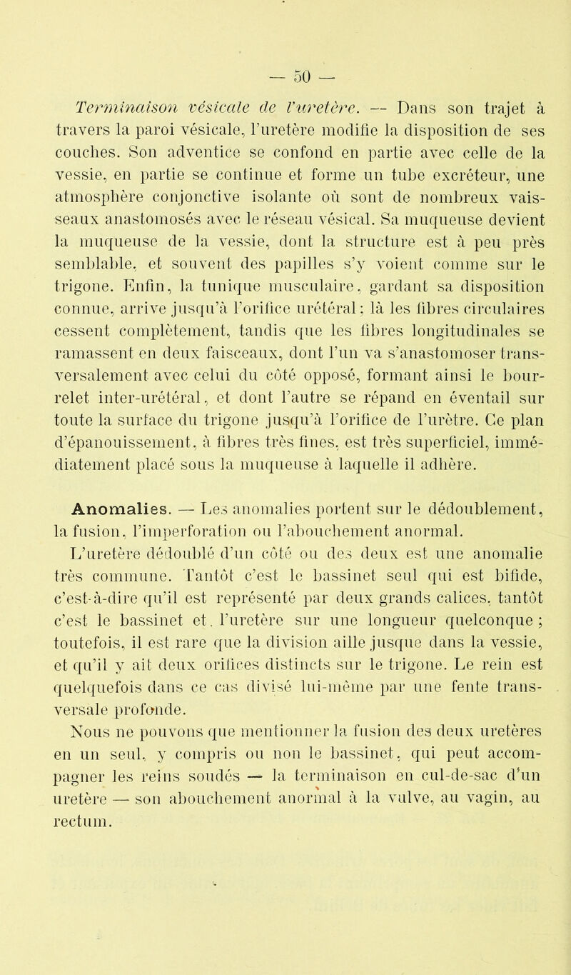 Terminaison vésicale de l’uretère. — Dans son trajet à travers la paroi vésicale, l’uretère modifie la disposition de ses couches. Son adventice se confond en partie avec celle de la vessie, en partie se continue et forme un tube excréteur, une atmosphère conjonctive isolante où sont de nombreux vais- seaux anastomosés avec le réseau vésical. Sa muqueuse devient la muqueuse de la vessie, dont la structure est à peu près semblable, et souvent des papilles s’y voient comme sur le trigone. Enfin, la tunique musculaire, gardant sa disposition connue, arrive jusqu’à l’orifice urétéral; là les fibres circulaires cessent complètement, tandis que les fibres longitudinales se ramassent en deux faisceaux, dont l’un va s’anastomoser trans- versalement avec celui du côté opposé, formant ainsi le bour- relet inter-urétéral, et dont l’autre se répand en éventail sur toute la surface du trigone jusqu’à l’orifice de l’urètre. Ce plan d’épanouissement, à fibres très fines, est très superficiel, immé- diatement placé sous la muqueuse à laquelle il adhère. Anomalies. — Les anomalies portent sur le dédoublement, la fusion, l’imperforation ou l’abouchement anormal. L’uretère dédoublé d’un côté ou des deux est une anomalie très commune. Tantôt c’est le bassinet seul qui est bifide, c’est-à-dire qu’il est représenté par deux grands calices, tantôt c’est le bassinet et. l’uretère sur une longueur quelconque ; toutefois, il est rare que la division aille jusque dans la vessie, et qu’il y ait deux orifices distincts sur le trigone. Le rein est quelquefois dans ce cas divisé lui-même par une fente trans- versale profonde. Nous ne pouvons que mentionner la fusion des deux uretères en un seul, y compris ou non le bassinet, qui peut accom- pagner les reins soudés — la terminaison en cul-de-sac d’un uretère — son abouchement anormal à la vulve, au vagin, au rectum.