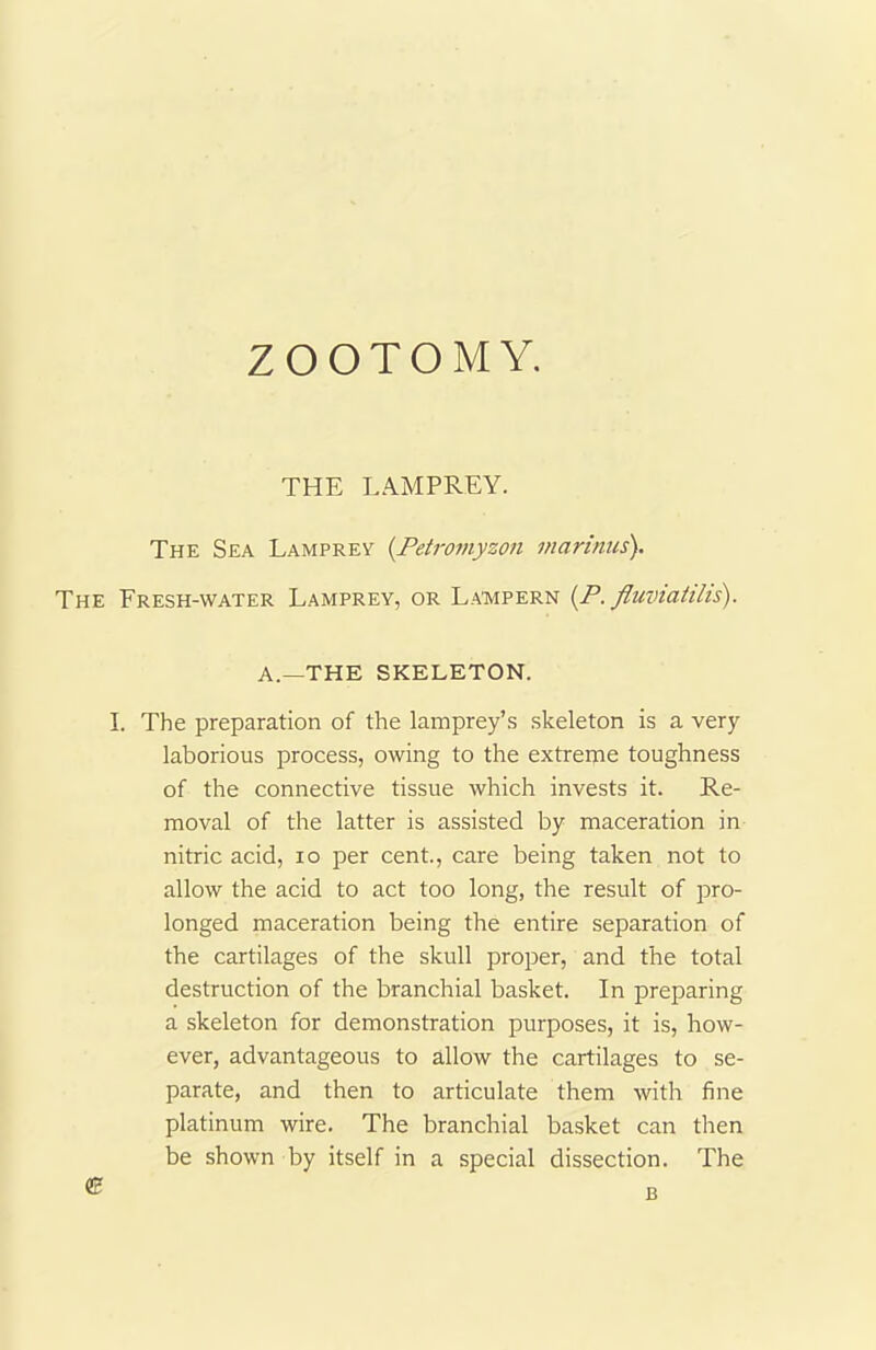 ZOOTOMY. THE LAMPREY. The Sea Lamprey (.Petromyson marinus). The Fresh-water Lamprey, or Lampern (P. fluviatilis). A.—THE SKELETON. I. The preparation of the lamprey’s skeleton is a very laborious process, owing to the extreme toughness of the connective tissue which invests it. Re- moval of the latter is assisted by maceration in nitric acid, xo per cent., care being taken not to allow the acid to act too long, the result of pro- longed maceration being the entire separation of the cartilages of the skull proper, and the total destruction of the branchial basket. In preparing a skeleton for demonstration purposes, it is, how- ever, advantageous to allow the cartilages to se- parate, and then to articulate them with fine platinum wire. The branchial basket can then be shown by itself in a special dissection. The <8 B