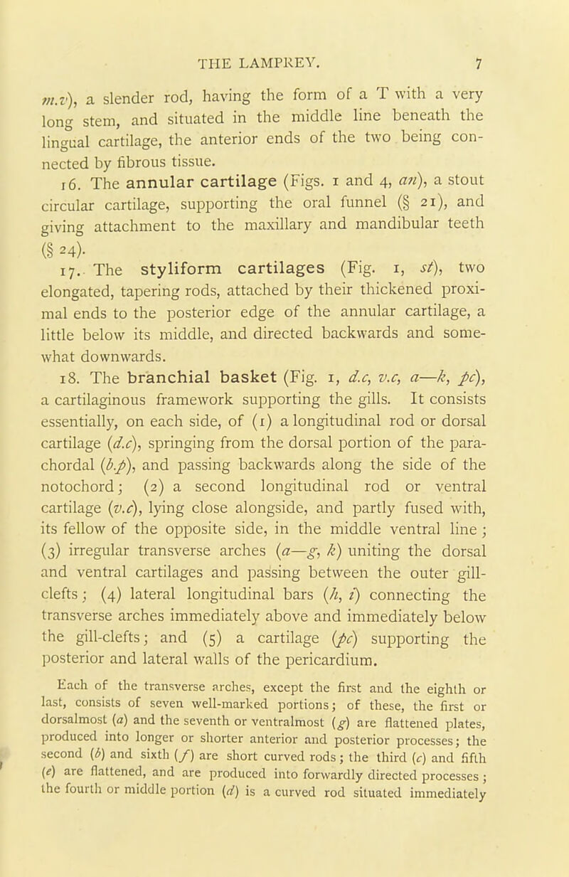 m.i), a slender rod, having the form of a T with a very long stem, and situated in the middle line beneath the lingual cartilage, the anterior ends of the two being con- nected by fibrous tissue. 16. The annular cartilage (Figs, i and 4, an), a stout circular cartilage, supporting the oral funnel (§ 21), and giving attachment to the maxillary and mandibular teeth (§ 24). 17. The styliform cartilages (Fig. x, st), two elongated, tapering rods, attached by their thickened proxi- mal ends to the posterior edge of the annular cartilage, a little below its middle, and directed backwards and some- what downwards. 18. The branchial basket (Fig. 1, d.c, v.c, a—k, pc), a cartilaginous framework supporting the gills. It consists essentially, on each side, of (1) a longitudinal rod or dorsal cartilage (d.c), springing from the dorsal portion of the para- chordal (1bp), and passing backwards along the side of the notochord; (2) a second longitudinal rod or ventral cartilage (v.c), lying close alongside, and partly fused with, its fellow of the opposite side, in the middle ventral line; (3) irregular transverse arches (a—g, k) uniting the dorsal and ventral cartilages and passing between the outer gill- clefts ; (4) lateral longitudinal bars (h, i) connecting the transverse arches immediately above and immediately below the gill-clefts; and (5) a cartilage (pc) supporting the posterior and lateral walls of the pericardium. Each of the transverse arches, except the first and the eighth or last, consists of seven well-marked portions; of these, the first or dorsalmost (a) and the seventh or ventralmost (g) are flattened plates, produced into longer or shorter anterior and posterior processes; the second (b) and sixth (/) are short curved rods; the third (r) and fifth (e) are flattened, and are produced into forwardly directed processes ; the fourth or middle portion (d) is a curved rod situated immediately