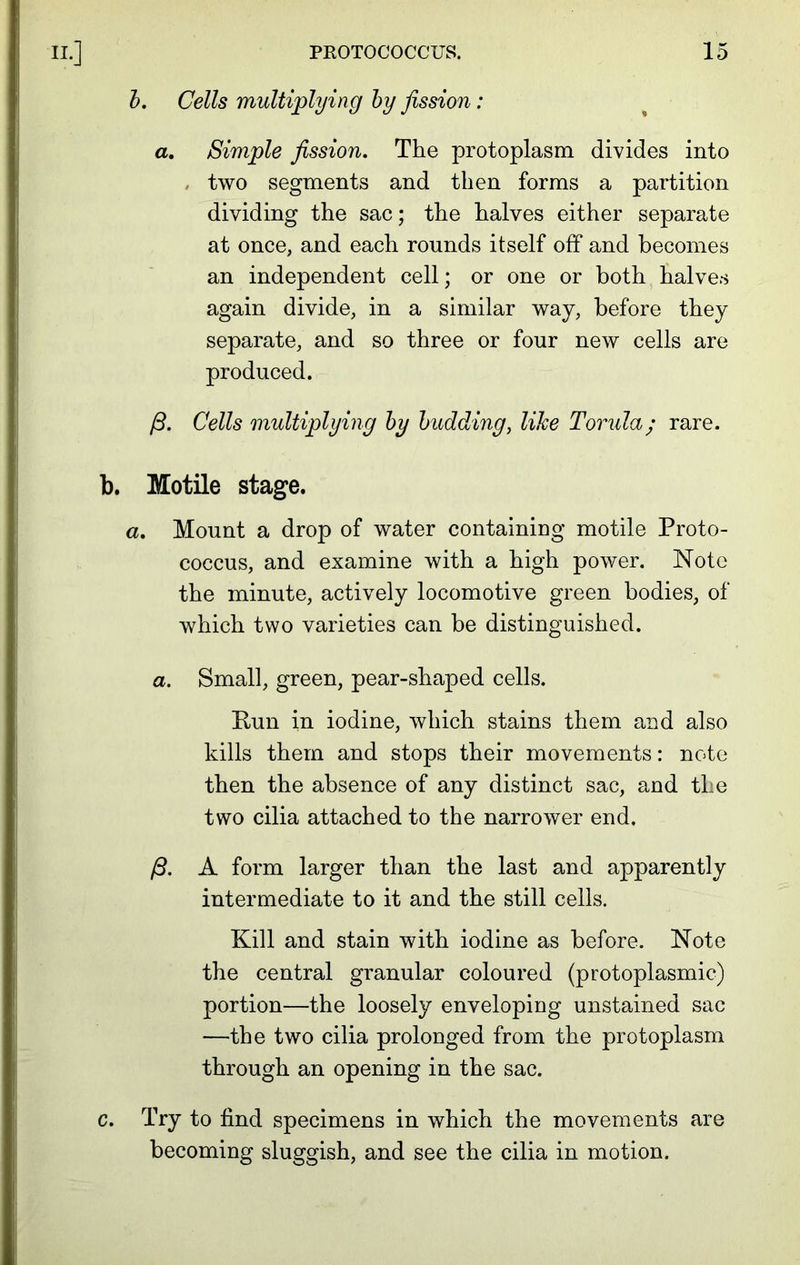 b. Cells multiplying by fission: a. Simple fission. The protoplasm divides into , two segments and then forms a partition dividing the sac; the halves either separate at once, and each rounds itself off and becomes an independent cell; or one or both halves again divide, in a similar way, before they separate, and so three or four new cells are produced. /3. Cells multiplying by budding, like Torula; rare. b. Motile stage. a. Mount a drop of water containing motile Proto- coccus, and examine with a high power. Note the minute, actively locomotive green bodies, of which two varieties can be distinguished. a. Small, green, pear-shaped cells. Bun in iodine, which stains them and also kills them and stops their movements: note then the absence of any distinct sac, and the two cilia attached to the narrower end. /?. A form larger than the last and apparently intermediate to it and the still cells. Kill and stain with iodine as before. Note the central granular coloured (protoplasmic) portion—the loosely enveloping unstained sac —the two cilia prolonged from the protoplasm through an opening in the sac. c. Try to find specimens in which the movements are becoming sluggish, and see the cilia in motion.