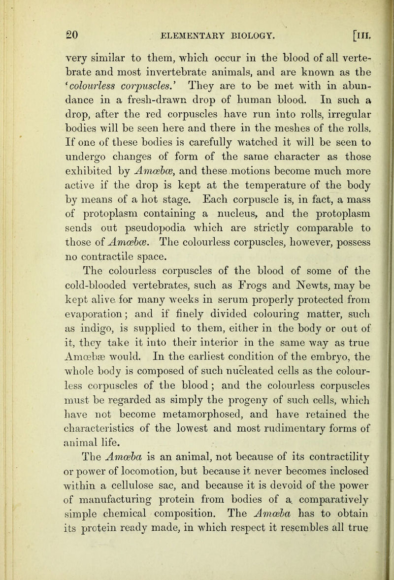very similar to them, which occur in the blood of all verte- brate and most invertebrate animals, and are known as the fcolourless corpuscles.’ They are to be met with in abun- dance in a fresh-drawn drop of human blood. In such a drop, after the red corpuscles have run into rolls, irregular bodies will be seen here and there in the meshes of the rolls. If one of these bodies is carefully watched it will be seen to undergo changes of form of the same character as those exhibited by Amoebce, and these motions become much more active if the drop is kept at the temperature of the body by means of a hot stage. Each corpuscle is, in fact, a mass of protoplasm containing a nucleus, and the protoplasm sends out pseudopodia which are strictly comparable to those of Amaebce. The colourless corpuscles, however, possess no contractile space. The colourless corpuscles of the blood of some of the cold-blooded vertebrates, such as Frogs and Newts, may be kept alive for many weeks in serum properly protected from evaporation; and if finely divided colouring matter, such as indigo, is supplied to them, either in the body or out of it, they take it into their interior in the same way as true Amoebae would. In the earliest condition of the embryo, the whole body is composed of such nucleated cells as the colour- less corpuscles of the blood; and the colourless corpuscles must be regarded as simply the progeny of such cells, which have not become metamorphosed, and have retained the characteristics of the lowest and most rudimentary forms of animal life. The Amoeba is an animal, not because of its contractility or power of locomotion, but because it never becomes inclosed within a cellulose sac, and because it is devoid of the power of manufacturing protein from bodies of a. comparatively simple chemical composition. The Amoeba has to obtain its protein ready made, in which respect it resembles all true