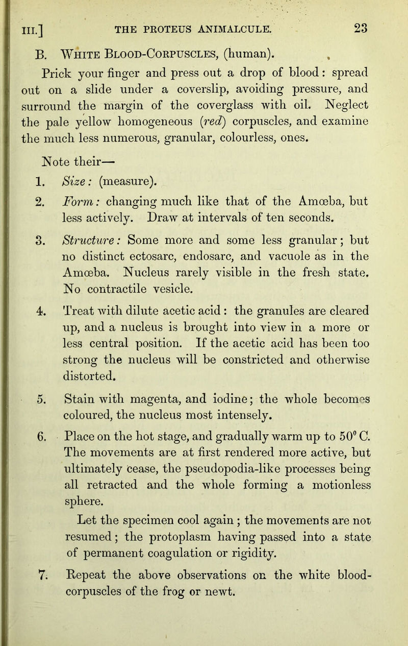 B. White Blood-Corpuscles, (human). Prick your finger and press out a drop of blood: spread out on a slide under a coverslip, avoiding pressure, and surround the margin of the coverglass with oil. Neglect the pale yellow homogeneous (red) corpuscles, and examine the much less numerous, granular, colourless, ones. Note their— 1. Size: (measure). 2. Form: changing much like that of the Amoeba, but less actively. Draw at intervals of ten seconds. 3. Structure: Some more and some less granular; but no distinct ectosarc, endosarc, and vacuole as in the Amoeba. Nucleus rarely visible in the fresh state. No contractile vesicle. 4. Treat with dilute acetic acid : the granules are cleared up, and a nucleus is brought into view in a more or less central position. If the acetic acid has been too strong the nucleus will be constricted and otherwise distorted. 5. Stain with magenta, and iodine; the whole becomes coloured, the nucleus most intensely. 6. Place on the hot stage, and gradually warm up to 50° C. The movements are at first rendered more active, but ultimately cease, the pseudopodia-like processes being all retracted and the whole forming a motionless sphere. Let the specimen cool again ; the movements are not resumed; the protoplasm having passed into a state of permanent coagulation or rigidity. 7. Repeat the above observations on the white blood- corpuscles of the frog or newt.
