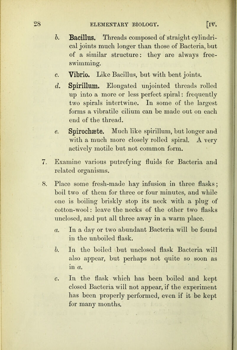 b. Bacillus. Threads composed of straight cylindri- cal joints much longer than those of Bacteria, hut of a similar structure : they are always free- swimming. c. Vibrio. Like Bacillus, hut with bent joints. d. Spirillum. Elongated unjointed threads rolled up into a more or less perfect spiral: frequently two spirals intertwine. In some of the largest forms a vibratile cilium can be made out on each end of the thread. e. Spirochaete. Much like spirillum, but longer and with a much more closely rolled spiral. A very actively motile but not common form. 7. Examine various putrefying fluids for Bacteria and related organisms. 8. Place some fresh-made hay infusion in three flasks; boil two of them for three or four minutes, and while one is boiling briskly stop its neck with a plug of cotton-wool: leave the necks of the other two flasks unclosed, and put all three awray in a warm place. a. In a day or two abundant Bacteria will be found in the unboiled flask. b. In the boiled but unclosed flask Bacteria will also appear, but perhaps not quite so soon as in a. c. In the flask which has been boiled and kept closed Bacteria will not appear, if the experiment has been properly performed, even if it be kept for many months.
