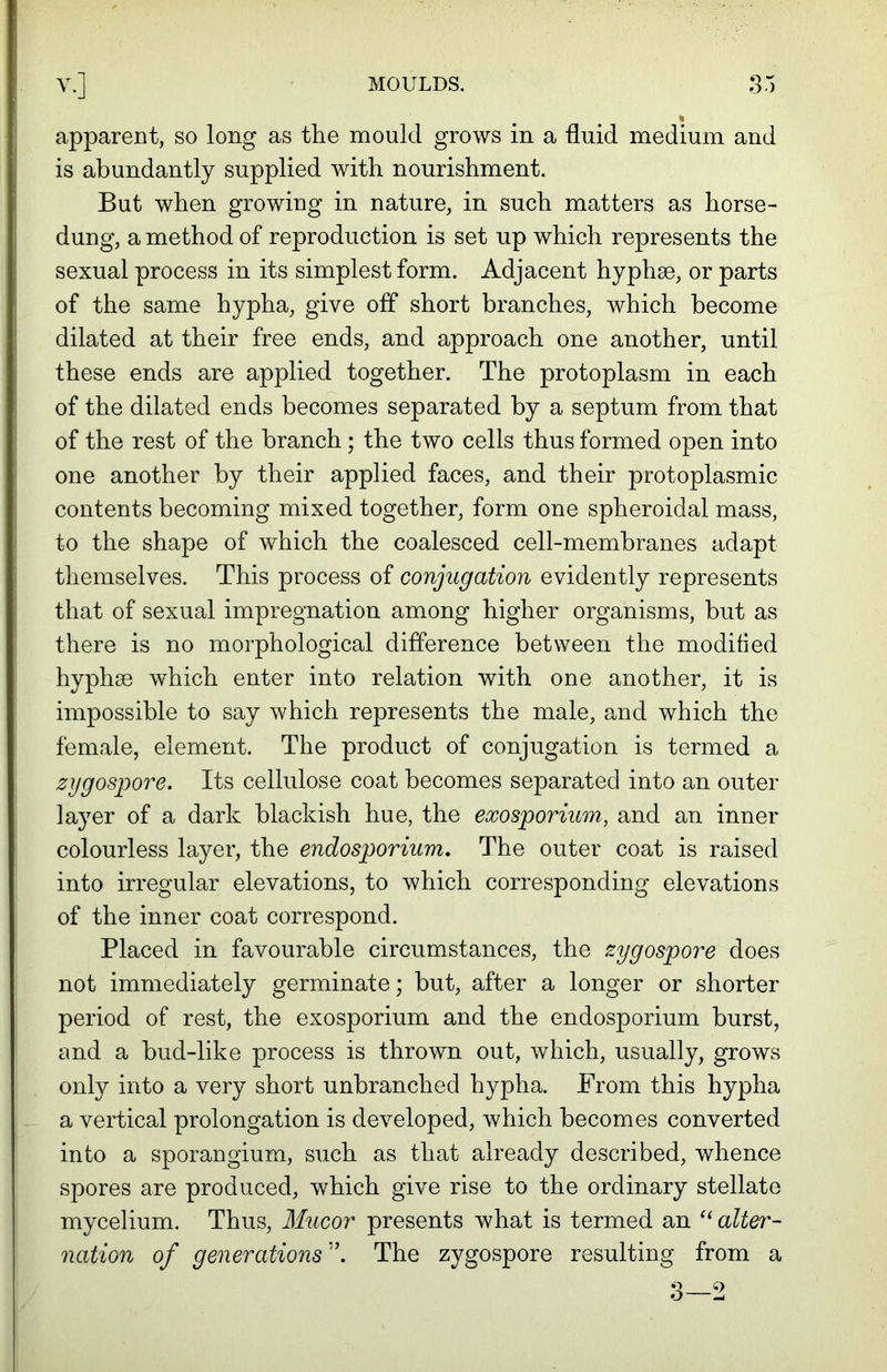 * apparent, so long as the mould grows in a fluid medium and is abundantly supplied with nourishment. But when growing in nature, in such matters as horse- dung, a method of reproduction is set up which represents the sexual process in its simplest form. Adjacent hyphae, or parts of the same hypha, give off short branches, which become dilated at their free ends, and approach one another, until these ends are applied together. The protoplasm in each of the dilated ends becomes separated by a septum from that of the rest of the branch ; the two cells thus formed open into one another by their applied faces, and their protoplasmic contents becoming mixed together, form one spheroidal mass, to the shape of which the coalesced cell-membranes adapt themselves. This process of conjugation evidently represents that of sexual impregnation among higher organisms, but as there is no morphological difference between the modified hyphae which enter into relation with one another, it is impossible to say which represents the male, and which the female, element. The product of conjugation is termed a zygospore. Its cellulose coat becomes separated into an outer layer of a dark blackish hue, the exosporium, and an inner colourless layer, the endosporium. The outer coat is raised into irregular elevations, to which corresponding elevations of the inner coat correspond. Placed in favourable circumstances, the zygospore does not immediately germinate; but, after a longer or shorter period of rest, the exosporium and the endosporium burst, and a bud-like process is thrown out, which, usually, grows only into a very short unbranclied hypha. From this hypha a vertical prolongation is developed, which becomes converted into a sporangium, such as that already described, whence spores are produced, which give rise to the ordinary stellate mycelium. Thus, Mucor presents what is termed an “alter- nation of generations The zygospore resulting from a 3—2