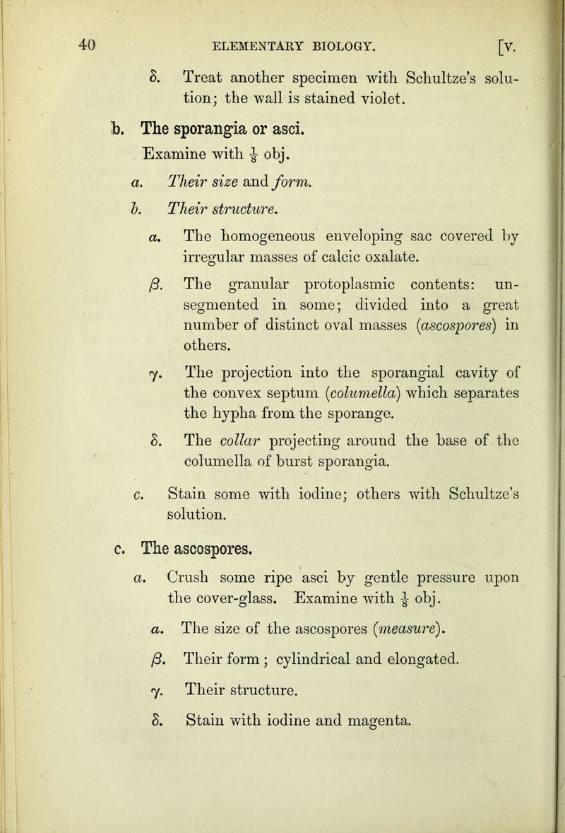 S. Treat another specimen with Schultze’s solu- tion; the wall is stained violet. b. The sporangia or asci. Examine with -J obj. a. Their size and form, h. Their structure. a. The homogeneous enveloping sac covered by irregular masses of calcic oxalate. /3. The granular protoplasmic contents: un- segmented in some; divided into a great number of distinct oval masses (ascospores) in others. 7. The projection into the sporangial cavity of the convex septum (columella) which separates the hypha from the sporange. 8. The collar projecting around the base of the columella of burst sporangia. c. Stain some with iodine; others with Schultze’s solution. c. The ascospores. a. Crush some ripe asci by gentle pressure upon the cover-glass. Examine with -J- obj. a. The size of the ascospores (measure). /3. Their form ; cylindrical and elongated. 7. Their structure. 8. Stain with iodine and magenta.