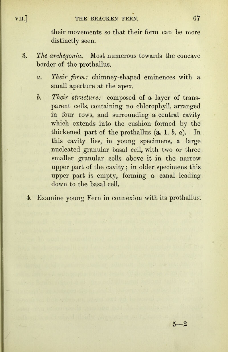 their movements so that their form can be more distinctly seen. 3. The archegonia. Most numerous towards the concave border of the prothallus. a. Their form: chimney-shaped eminences with a small aperture at the apex. b. Their structure: composed of a layer of trans- parent cells, containing no chlorophyll, arranged in four rows, and surrounding a central cavity which extends into the cushion formed by the thickened part of the prothallus (a. 1. b. a). In this cavity lies, in young specimens, a large nucleated granular basal cell, with two or three smaller granular cells above it in the narrow upper part of the cavity; in older specimens this upper part is empty, forming a canal leading down to the basal cell. 4. Examine young Fern in connexion with its prothallus. 5—2