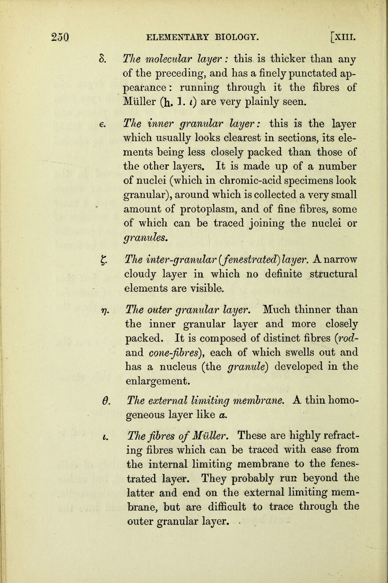 8. The molecular layer: this is thicker than any of the preceding, and has a finely punctated ap- pearance : running through it the fibres of Muller (h. 3. i) are very plainly seen. e. The inner granular layer: this is the layer which usually looks clearest in sections, its ele- ments being less closely packed than those of the other layers. It is made up of a number of nuclei (which in chromic-acid specimens look granular), around which is collected a very small amount of protoplasm, and of fine fibres, some of which can be traced joining the nuclei or granules. £ The inter-granular (fenestrated) layer. A narrow cloudy layer in which no definite structural elements are visible. rj. The outer granular layer. Much thinner than the inner granular layer and more closely packed. It is composed of distinct fibres (rod- and co7ie-fibres), each of which swells out and has a nucleus (the granule) developed in the enlargement. 6. The external limiting membrane. A thin homo- geneous layer like a. l. The fibres of Muller. These are highly refract- ing fibres which can be traced with ease from the internal limiting membrane to the fenes- trated layer. They probably run beyond the latter and end on the external limiting mem- brane, but are difficult to trace through the outer granular layer. .