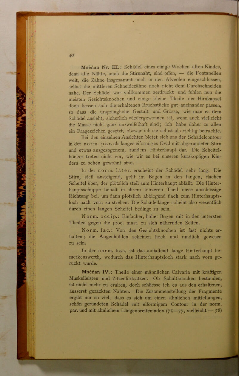 ■ i % Ir % i;-- Cl-'-t'f Ik' ». I V  ii -ä '-. 1 ; •? , ff V ^ •Si • Hi'?. • MneAan Nr. III.: Schädel eines einige Wochen alten Kindes, denn alle Nähte, auch die Stirnnaht, sind offen, — die Fontanellen weit, die Zähne insgesammt noch in den Alveolen eingeschlossen, selbst die mittleren Schneidezähne noch nicht dem Durchschneiden nahe. Der Schädel war vollkommen zerdrückt und fehlen nun die meisten Gesichtsknochen und einige kleine Theile der Hirnkapsel doch Hessen sich die erhaltenen Bruchstücke gut aneinander passen, so dass die ursprüngliche Gestalt und Grösse, wie man es dem Schädel ansieht, sicherlich wiedergewonnen ist, wenn auch vielleicht die Masse nicht ganz unzweifelhaft sind; ich habe daher zu allen ein Fragezeichen gesetzt, obzwar ich sie selbst als richtig betrachte. Bei den einzelnen Ansichten bietet sich uns der Schädelcontour in der norm, p ar. als langes eiförmiges Oval mit abgerundeter Stirn und etwas ausgezogenem, rundem Hinterhaupt dar. Die Scheitel- höcker treten nicht vor, wie wir es bei unseren kurzköpfigen Kin- dern zu sehen gewohnt sind. In der norm, later, erscheint der Schädel sehr lang. Die Stirn, steil ansteigend, geht im Bogen in den langen, flachen Scheitel über, der plötzlich steil zum Hinterhaupt abfällt. Die Hinter- hauptsschuppe behält in ihrem kürzeren Theil diese abschüssige Richtung bei, um dann plötzlich abbiegend flach zum Hinterhaupts- loch nach vorn zu streben. Die Schädellänge scheint also wesentlich durch einen langen Scheitel bedingt zu sein. Norm, o c c i p.: Einfacher, hoher Bogen mit in den untersten Theilen gegen die proc. mast, zu sich nähernden Seiten. Norm. fac.: Von den Gesichtsknochen ist fast nichts er- halten ; die Augenhöhlen scheinen hoch und rundlich gewesen zu sein. In der norm. bas. ist das auffallend lange Hinterhaupt be- merkenswerth, wodurch das Hinterhauptsloch stark nach vorn ge- rückt wurde. Mnenan IV.: Theile einer männlichen Calvaria mit kräftigen Muskelleisten und Zitzenfortsätzen. Ob Schaltknochen bestanden, ist nicht mehr zu eruiren, doch schliesse ich es aus den erhaltenen, äusserst gezackten Nähten. Die Zusammenstellung der Fragmente ergibt nur so viel, dass es sich um einen ähnlichen mittellangen, schön gerundeten Schädel mit eiförmigem Contour in der norm, par. und mit ähnlichem Längenbreitenindex (75—77, vielleicht — 78)