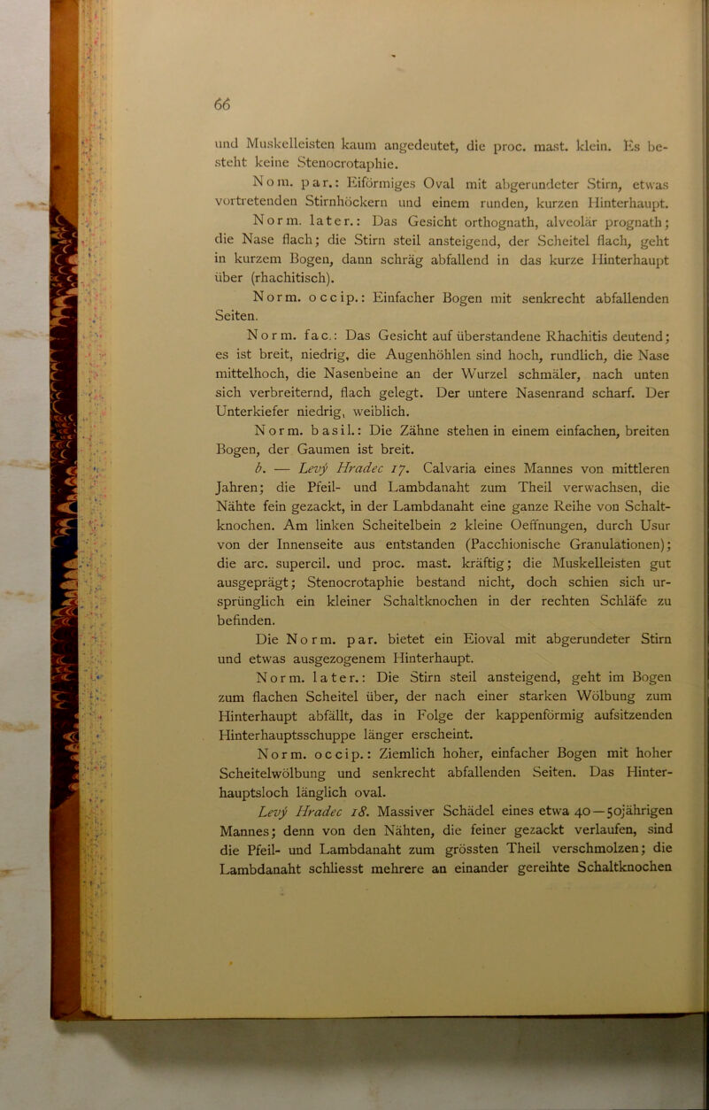 und Muskelleisten kaum angedeutet, die proc. mast, klein. Ks be- steht keine Stenocrotaphie. Nom. par.: Eiförmiges Oval mit abgerundeter Stirn, etwas vertretenden Stirnhöckern und einem runden, kurzen Hinterhaupt. Norm, later.: Das Gesicht orthognath, alveolär prognath; die Nase flach; die Stirn steil ansteigend, der Scheitel flach, geht in kurzem Bogen, dann schräg abfallend in das kurze Hinterhaupt über (rhachitisch). Norm, occip.: Einfacher Bogen mit senkrecht abfallenden Seiten. Norm, fac,: Das Gesicht auf überstandene Rhachitis deutend; es ist breit, niedrig, die Augenhöhlen sind hoch, rundlich, die Nase mittelhoch, die Nasenbeine an der Wurzel schmäler, nach unten sich verbreiternd, flach gelegt. Der untere Nasenrand scharf. Der Unterkiefer niedrig, weiblich. Norm, b a s i 1.: Die Zähne stehen in einem einfachen, breiten Bogen, der Gaumen ist breit. b. — Levy Hradec ij. Calvaria eines Mannes von mittleren Jahren; die Pfeil- und Lambdanaht zum Theil verwachsen, die Nähte fein gezackt, in der Lambdanaht eine ganze Reihe von Schalt- knochen. Am linken Scheitelbein 2 kleine Oeffnungen, durch Usur von der Innenseite aus entstanden (Pacchionische Granulationen); die arc. supercil. und proc. mast, kräftig; die Muskelleisten gut ausgeprägt; Stenocrotaphie bestand nicht, doch schien sich ur- sprünglich ein kleiner Schaltknochen in der rechten Schläfe zu befinden. Die Norm. par. bietet ein Eioval mit abgerundeter Stirn und etwas ausgezogenem Hinterhaupt. Norm, later.: Die Stirn steil ansteigend, geht im Bogen zum flachen Scheitel über, der nach einer starken Wölbung zum Hinterhaupt abfällt, das in Folge der kappenförmig aufsitzenden Hinterhauptsschuppe länger erscheint. Norm, occip.: Ziemlich hoher, einfacher Bogen mit hoher Scheitelwölbung und senkrecht abfallenden Seiten. Das Hinter- hauptsloch länglich oval. Levy Hradec 18. Massiver Schädel eines etwa 40 —50jährigen Mannes; denn von den Nähten, die feiner gezackt verlaufen, sind die Pfeil- und Lambdanaht zum grössten Theil verschmolzen; die Lambdanaht schliesst mehrere an einander gereihte Schaltknochen