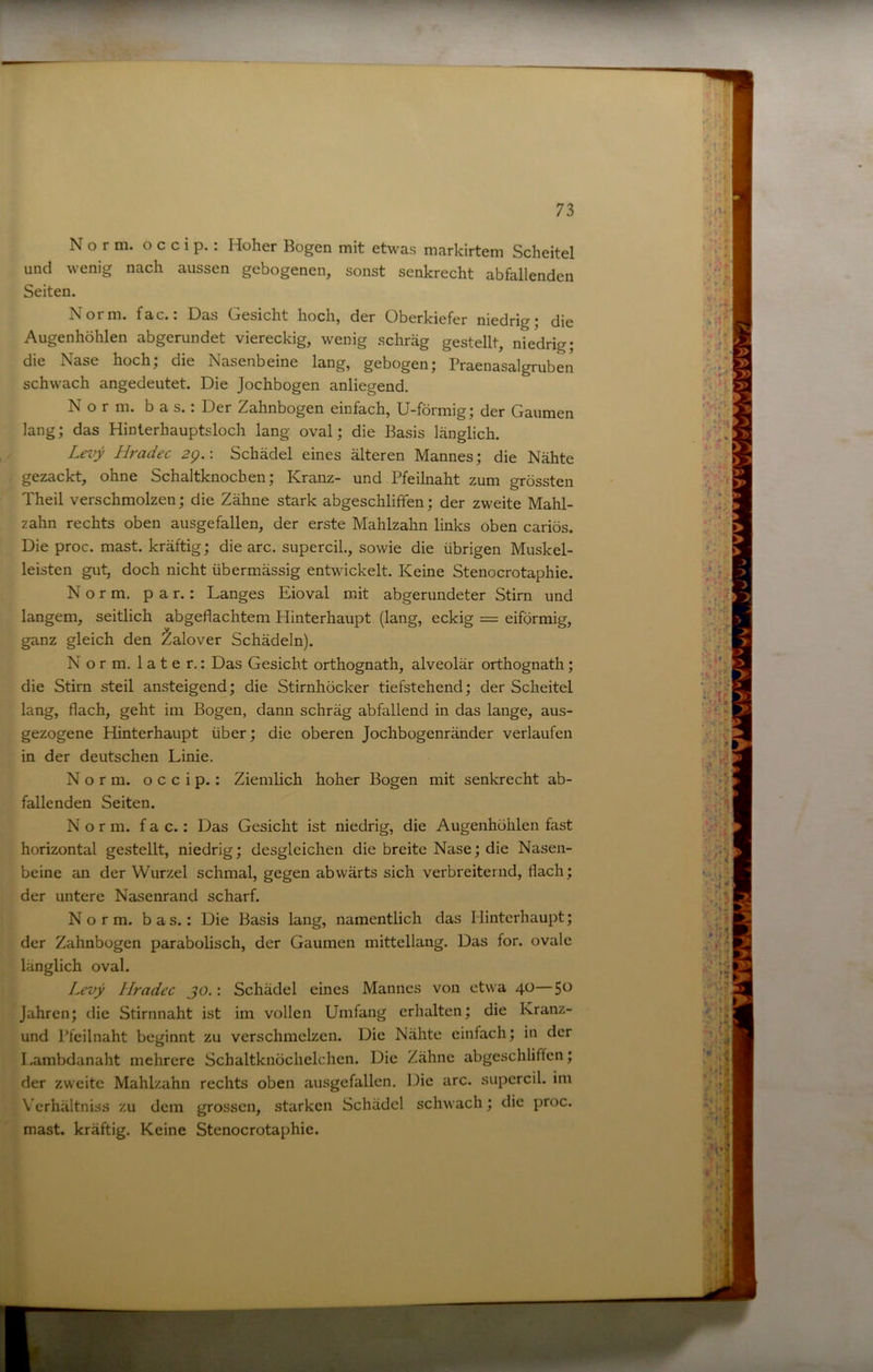 Norm, o c c i p. : Hoher Bogen mit etwas markirtem Scheitel und wenig nach aussen gebogenen, sonst senkrecht abfallenden Seiten. Norm. fac.: Das Gesicht hoch, der Oberkiefer niedrig; die Augenhöhlen abgerundet viereckig, wenig schräg gestellt, niedrig; die Nase hoch; die Nasenbeine lang, gebogen; Praenasalgruben schwach angedeutet. Die Jochbogen anliegend. Norm, bas.: Der Zahnbogen einfach, U-förmig; der Gaumen lang; das Hinlerhauptsloch lang oval; die Basis länglich. Lroy Hradec 2g.: Schädel eines älteren Mannes; die Nähte gezackt, ohne Schaltknochen; Kranz- und Pfeilnaht zum grössten Theil verschmolzen; die Zähne stark abgeschliffen; der zweite Mahl- zahn rechts oben ausgefallen, der erste Mahlzahn links oben cariös. Die proc. mast, kräftig; die arc. supercil., sowie die übrigen Muskel- leisten gut, doch nicht übermässig entwickelt. Keine Stenocrotaphie. Norm, p a r.: Langes Eioval mit abgerundeter Stirn und langem, seitlich abgeflachtem Hinterhaupt (lang, eckig = eiförmig, ganz gleich den ^alover Schädeln). Norm, later.: Das Gesicht orthognath, alveolär orthognath; die Stirn steil ansteigend; die Stirnhöcker tiefstehend; der Scheitel lang, flach, geht im Bogen, dann schräg abfallend in das lange, aus- gezogene Hinterhaupt über; die oberen Jochbogenränder verlaufen in der deutschen Linie, Norm, o c c i p. : Ziemlich hoher Bogen mit senkrecht ab- fallenden Seiten. Norm, fac.: Das Gesicht ist niedrig, die Augenhöhlen fast horizontal gestellt, niedrig; desgleichen die breite Nase; die Nasen- beine an der Wurzel schmal, gegen abwärts sich verbreiternd, flach; der untere Nasenrand scharf. Norm, bas.: Die Basis lang, namentlich das Hinterhaupt; der Zahnbogen parabolisch, der Gaumen mittellang. Das for. ovale länglich oval. Levy Hradec jo.: Schädel eines Mannes von etwa 40—5^ Jahren; die Stirnnaht ist im vollen Umfang erhalten; die Kranz- und Pfcilnaht beginnt zu verschmelzen. Die Nähte einfach; in der Lambdanaht mehrere Schaltknöchelchen. Die Zähne abgeschliffcn; der zweite Mahlzahn rechts oben ausgefallen. Die arc. supercil. im \ erhältniss zu dem grossen, starken Schädel schwach; die proc. mast, kräftig. Keine Stenocrotaphie.