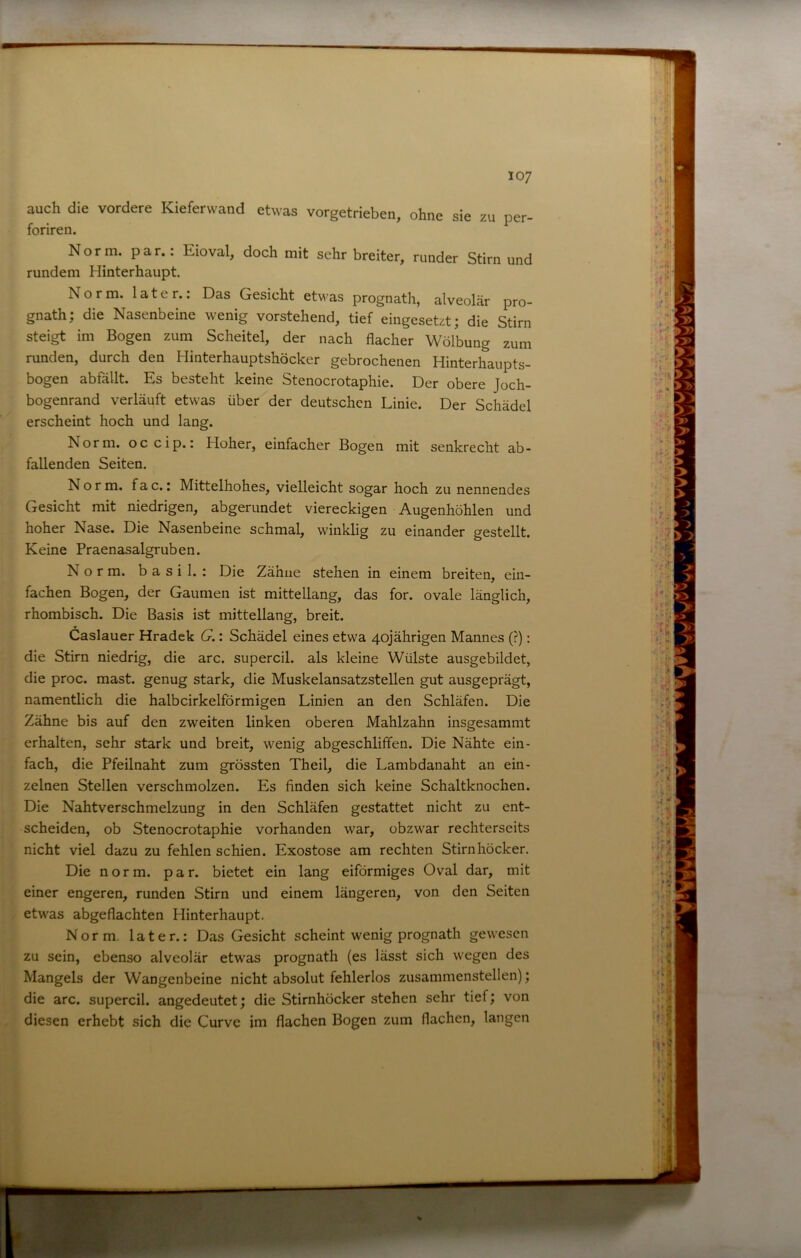 auch die vordere Kieferwand etwas vorgetrieben, ohne sie zu per- foriren. Norm. par.: Eioval, doch mit sehr breiter, runder Stirn und rundem Hinterhaupt Norm, later.: Das Gesicht etwas prognath, alveolär pro- gnath; die Nasenbeine wenig vorstehend, tief eingesetzt; die Stirn steigt im Bogen zum Scheitel, der nach flacher Wölbung zum runden, durch den Hinterhauptshöcker gebrochenen Hinterhaupts- bogen abfällt Es besteht keine Stenocrotaphie. Der obere Joch- bogenrand verläuft etwas über der deutschen Linie. Der Schädel erscheint hoch und lang. Norm, oc cip.: Hoher, einfacher Bogen mit senkrecht ab- fallenden Seiten. Norm. fac.: Mittelhohes, vielleicht sogar hoch zu nennendes Gesicht mit niedrigen, abgerundet viereckigen Augenhöhlen und hoher Nase. Die Nasenbeine schmal, winklig zu einander gestellt Keine Praenasalgruben. Norm, b a s i 1. : Die Zähne stehen in einem breiten, ein- fachen Bogen, der Gaumen ist mittellang, das for. ovale länglich, rhombisch. Die Basis ist mittellang, breit. Caslauer Hradek G.: Schädel eines etwa 40jährigen Mannes (?): die Stirn niedrig, die arc. supercil. als kleine Wülste ausgebildet, die proc. mast, genug stark, die Muskelansatzstellen gut ausgeprägt, namentlich die halbcirkelförmigen Linien an den Schläfen. Die Zähne bis auf den zweiten linken oberen Mahlzahn insgesammt erhalten, sehr stark und breit, wenig abgeschliffen. Die Nähte ein- fach, die Pfeilnaht zum grössten Theil, die Lambdanaht an ein- zelnen Stellen verschmolzen. Es finden sich keine Schaltknochen. Die Nahtverschmelzung in den Schläfen gestattet nicht zu ent- scheiden, ob Stenocrotaphie vorhanden war, obzwar rechterseits nicht viel dazu zu fehlen schien. Exostose am rechten Stirnhöcker. Die norm. par. bietet ein lang eiförmiges Oval dar, mit einer engeren, runden Stirn und einem längeren, von den Seiten etwas abgeflachten Hinterhaupt. Norm, later.: Das Gesicht scheint wenig prognath gewesen ; zu sein, ebenso alveolär etwas prognath (es lässt sich wegen des i Mangels der Wangenbeine nicht absolut fehlerlos zusammenstellen); i ' die arc. supercil. angedeutet; die Stirnhöcker stehen sehr tief; von diesen erhebt sich die Curve im flachen Bogen zum flachen, langen