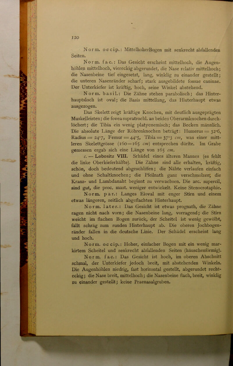 • r »•'<’ * . • -X ...1 , \*'' t * .f. ^ -' X( •■; ■ ■ :.,.V i:$ ■ t-M '?J r rV .V. ,> .y : ■/. ‘i^ ^ '• .' t, M*' I • \ Norm, o c c i p.: MittelhoherBogen mit senkrecht abfallenden Seiten. Norm, f a c.: Das Gesicht erscheint mittelhoch, die Augen- höhlen mittelhoch, viereckig abgerundet, die Nase relativ mittelhoch; die Nasenbeine tief eingesetzt, lang, winklig zu einander gestellt; die unteren Nasenränder scharf; stark ausgebildete fossae caninae. Der Unterkiefer ist kräftig, hoch, seine Winkel abstehend. Norm, b a s i 1.: Die Zähne stehen parabolisch; das Hinter- hauptsloch ist oval; die Basis mittellang, das Hinterhaupt etwas ausgezogen. Das Skelett zeigt kräftige Knochen, mit deutlich ausgeprägten Muskelleisten; die foveasupratrochl. an beiden Oberarmknochen durch- löchert; die Tibia ein wenig platycnemisch; das Becken männlich. Die absolute Länge der Röhrenknochen beträgt: Humerus = 32*6, Radius = 24*7, Femur = 44*5, Tibia = 37*3 cm, was einer mitt- leren Skelettgrösse (160—165 cm) entsprechen dürfte. Im Grabe gemessen ergab sich eine Länge von 165 cm. c. — Lobositz VIII. Srhädel eines älteren Mannes (es fehlt die linke Oberkieferhälfte). Die Zähne sind alle erhalten, kräftig, schön, doch bedeutend abgeschlififen; die Nähte verlaufen einfach und ohne Schaltknochen; die Pfeilnath ganz verschmolzen; die Kranz- und Lambdanaht beginnt zu verwachsen. Die arc. supereil, sind gut, die proc. mast, weniger entwickelt. Keine Stenocrotaphie. Norm, p a r.: Langes Eioval mit enger Stirn und einem etwas längeren, seitlich abgeflachten Hinterhaupt. Norm, later.: Das Gesicht ist etwas prognath, die Zähne ragen nicht nach vorn; die Nasenbeine lang, vorragend; die Stirn weicht im flachen Bogen zurück, der Scheitel ist wenig gewölbt, fällt schräg zum runden Hinterhaupt ab. Die oberen Jochbogen- ränder fallen in die deutsche Linie. Der Schädel erscheint lang und hoch. Norm, o c c i p.: Hoher, einfacher Bogen mit ein wenig mar- kirtem Scheitel und senkrecht abfallenden Seiten (häuschenförmig). Norm, f a c.: Das Gesicht ist hoch, im oberen Abschnitt schmal, der Unterkiefer jedoch breit, mit abstehenden Winkeln. Die Augenhöhlen niedrig, fast horizontal gestellt, abgerundet recht- eckig; die Nase breit, mittelhoch; die Nasenbeine flach, breit, winklig zu einander gestellt; keine Praenasalgruben.