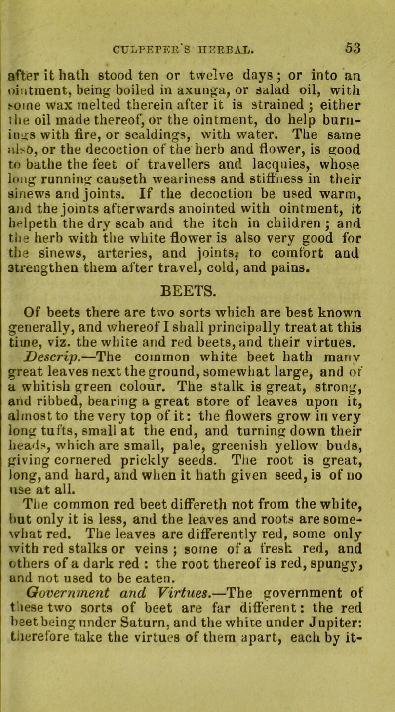 after it hath stood ten or twelve days; or into an ointment, being boiled in axunga, or salad oil, with some wax melted therein after it is strained ; either i he oil made thereof, or the ointment, do help burn- ings with fire, or scaldings, with water. The same also, or the decoction of the herb and flower, is good r.o bathe the feet of travellers and lacquies, whose long running causeth weariness and stiffness in their sinews and joints. If the decoction be used warm, and the joints afterwards anointed with ointment, it helpeth the dry scab and the itch in children ; and the herb with the white flower is also very good for the sinews, arteries, and joints} to comfort and strengthen them after travel, cold, and pains. BEETS. Of beets there are two sorts which are best known generally, and whereof I shall principally treat at this time, viz. the white and red beets, and their virtues. Descrip.—The common white beet hath manv great leaves next the ground, somewhat large, and or' a whitish green colour. The stalk is great, strong, and ribbed, bearing a great store of leaves upon it, almost to the very top of it: the flowers grow in very long tufts, small at the end, and turning down their heads, which are small, pale, greenish yellow buds, giving cornered prickly seeds. The root is great, long, and hard, and when it hath given seed, is of no use at all. The common red beet differeth not from the white, but only it is less, and the leaves and roots are some- what red. The leaves are differently red, some only with red stalks or veins; some of a fresh red, and others of a dark red : the root thereof is red, spungy, and not used to be eaten. Government and Virtues.—The government of these two sorts of beet are far different: the red beet being under Saturn, and the white under Jupiter: therefore take the virtues of them apart, each by it-