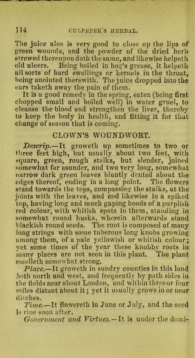 The juice also is very good to close up the lips of green wounds, and the powder of the dried herb strewed thereupon doth thesame, and likewise helpeth old ulcers. Being boiled in hog’s grease, it helpeth all sorts of hard swellings or kernels in the throat, being anointed therewith. The juice dropped into the ears taketh away the pain of them. It is a good remedy in the spring, eaten (being first chopped small and boiled well) in water gruel, to cleanse the blood and strengthen the liver, thereby to keep the body in health, and fitting it for that change of season that is coming. CLOWN’S WOUNDWORT. Descrip.—It groweth up sometimes to two or three feet high, but usually about two feet, with square, green, rough stalks, but slender, joined somewhat far asunder, and two very long, somewhat narrow dark green leaves bluntly dented about the edges thereof, ending in a long point. The flowers stand towards the tops, compassing the stalks, at the joints with the leaves, and end likewise in a spiked top, having long and much gaping hoods of a purplish red colour, with whitish spots in them, standing in somewhat round husks, wherein afterwards stand blackish round seeds. The root is composed of many long strings with some tuberous long knobs growing among them, of a pale yellowish or whitish colour ; yet some times of the year these knobby roots in many places are not seen in this plant. The plant smelleth somewhat strong. Place.—It groweth in sundry counties in this land tooth north and west, and frequently by path sides in the fields near about London, and within three or four miles distant about it; yet it usually grows in or near ditches. Time.—It flowereth in June or July, and the seed is ripe soon after. Government and Virtues.—It is under the dotui-