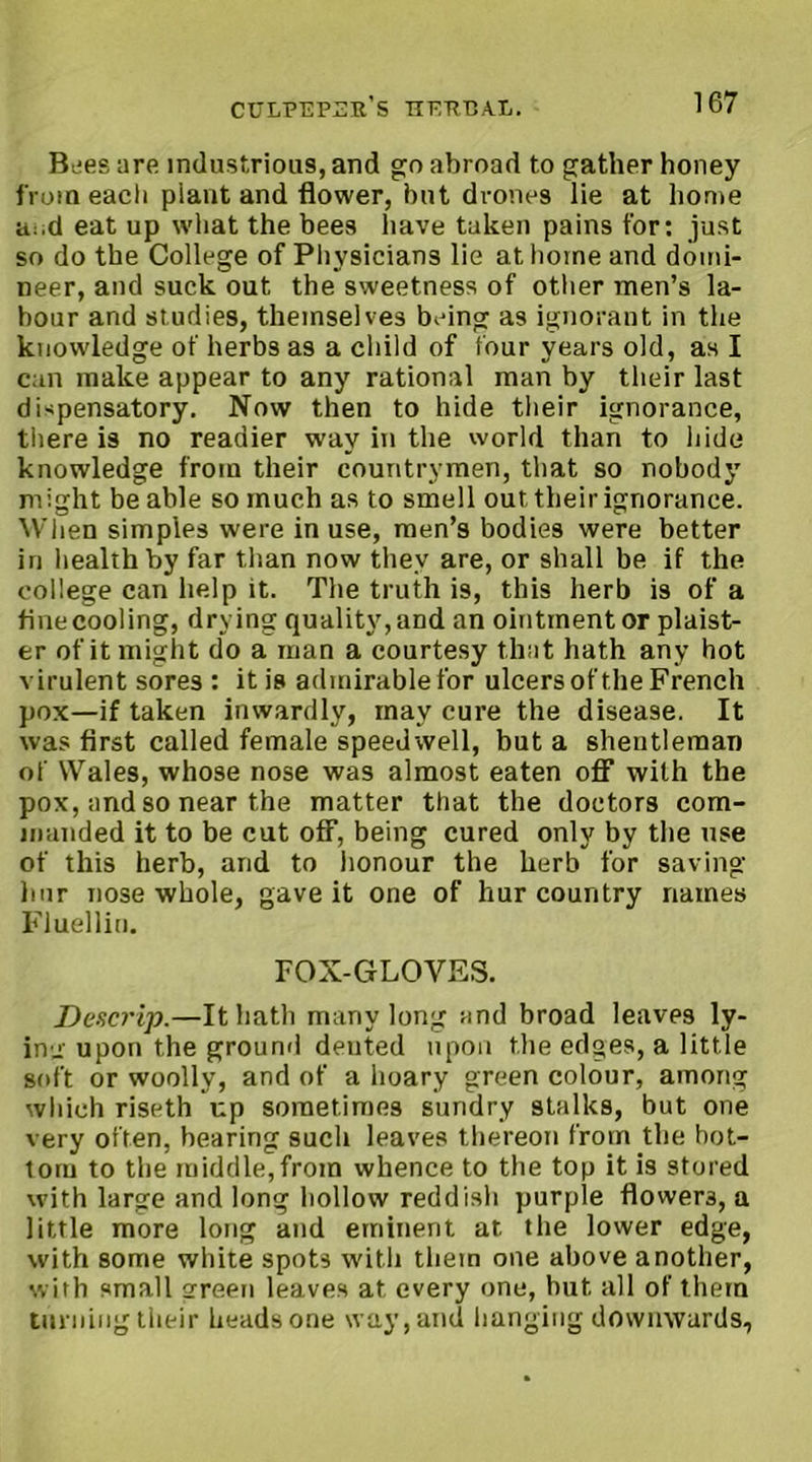 Bees are industrious, and go abroad to gather honey from each piant and flower, but drones lie at home a:.d eat up what the bees have taken pains for: just so do the College of Physicians lie at home and domi- neer, and suck out the sweetness of other men’s la- bour and studies, themselves being as ignorant in the knowledge of herbs as a child of four years old, as I can make appear to any rational man by their last dispensatory. Now then to hide their ignorance, there is no readier way in the world than to hide knowledge from their countrymen, that so nobody might be able so much as to smell out their ignorance. When simples were in use, men’s bodies were better in health by far than now they are, or shall be if the college can help it. The truth is, this herb is of a fine cooling, drying quality, and an ointment or plaist- er of it might do a man a courtesy that hath any hot virulent sores : it is admirable for ulcers of the French pox—if taken inwardly, may cure the disease. It was first called female speedwell, but a shentleman of Wales, whose nose was almost eaten off with the pox, and so near the matter that the doctors com- manded it to be cut off, being cured only by the use of this herb, and to honour the herb for saving bur nose whole, gave it one of hur country names Fluellin. FOX-GLOYES. Descrip.—It hath many long and broad leaves ly- ing upon the ground dented upon the edges, a little soft or woolly, and of a hoary green colour, among which riseth up sometimes sundry stalks, but one very often, bearing such leaves thereon from the bot- tom to the middle,from whence to the top it is stored with large and long hollow reddish purple flowers, a little more long and eminent at the lower edge, with some white spots with them one above another, with small green leaves at every one, but all of them turning their heads one way, and hanging downwards,