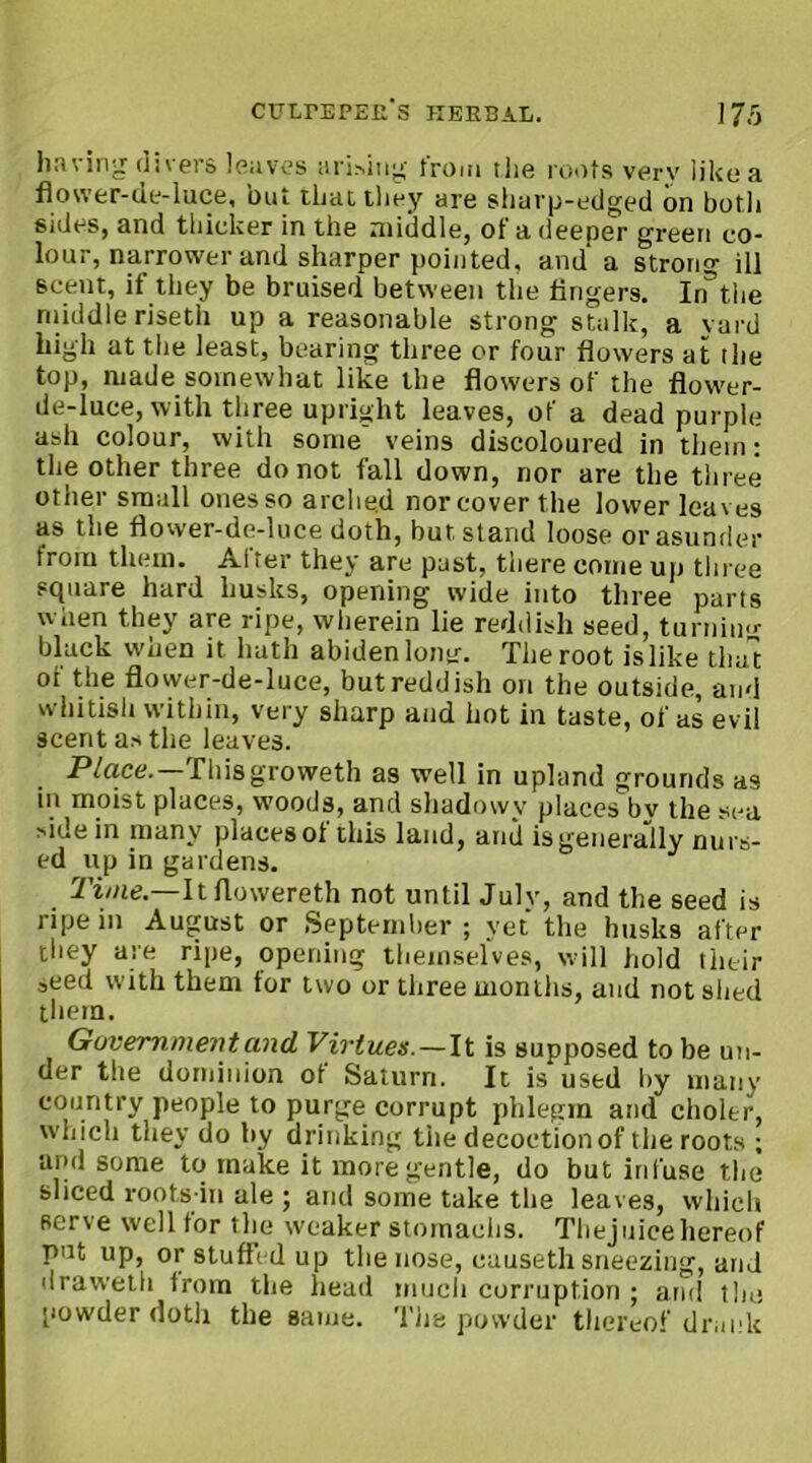having divers leaves arising from tlie roots very like a flower-de-luce, but that they are sharp-edged bn both sides, and thicker in the middle, of a deeper green co- lour, narrower and sharper pointed, and a strong ill scent, if they be bruised between the fingers. In’tlie middle riseth up a reasonable strong stalk, a yard high at the least, bearing three or four flowers at the top, made somewhat like the flowers of the flower- de-luce, with three upright leaves, of a dead purple ash colour, with some veins discoloured in them: the other three do not fall down, nor are the three other small ones so arched nor cover the lower loaves as the flower-de-luce doth, but stand loose or asunder from them. After they are past, there come up three square hard husks, opening wide into three parts w lien they are ripe, wherein lie reddish seed, turning black when it hath abidenlong. The root is like that of the flower-de-luce, but reddish on the outside, and whitish within, very sharp and hot in taste, of as evil scent as the leaves. Place. Tbisgroweth as well in upland grounds as in moist places, woods, and shadowy places bv the sea side in many places of this land, and is generally nurs- ed up in gardens. Time.—It flowereth not until July, and the seed is ripe in August or September ; yet the husks after they are ripe, opening themselves, will hold their 3eed with them tor two or three months, and not shed them. Govern!mentand Virtues. — It is supposed to be un- der the dominion of Saturn. It is used by many country people to purge corrupt phlegm and choler, which they do by drinking the decoction of the roots ; and some to make it more gentle, do but infuse the sliced roots in ale ; and some take the leaves, which serve well for the weaker stomachs. Thejuicehereof put up, orstuffvdup the nose, causeth sneezing, and draweth from the head much corruption ; arid the powder doth the same. The powder thereof drank