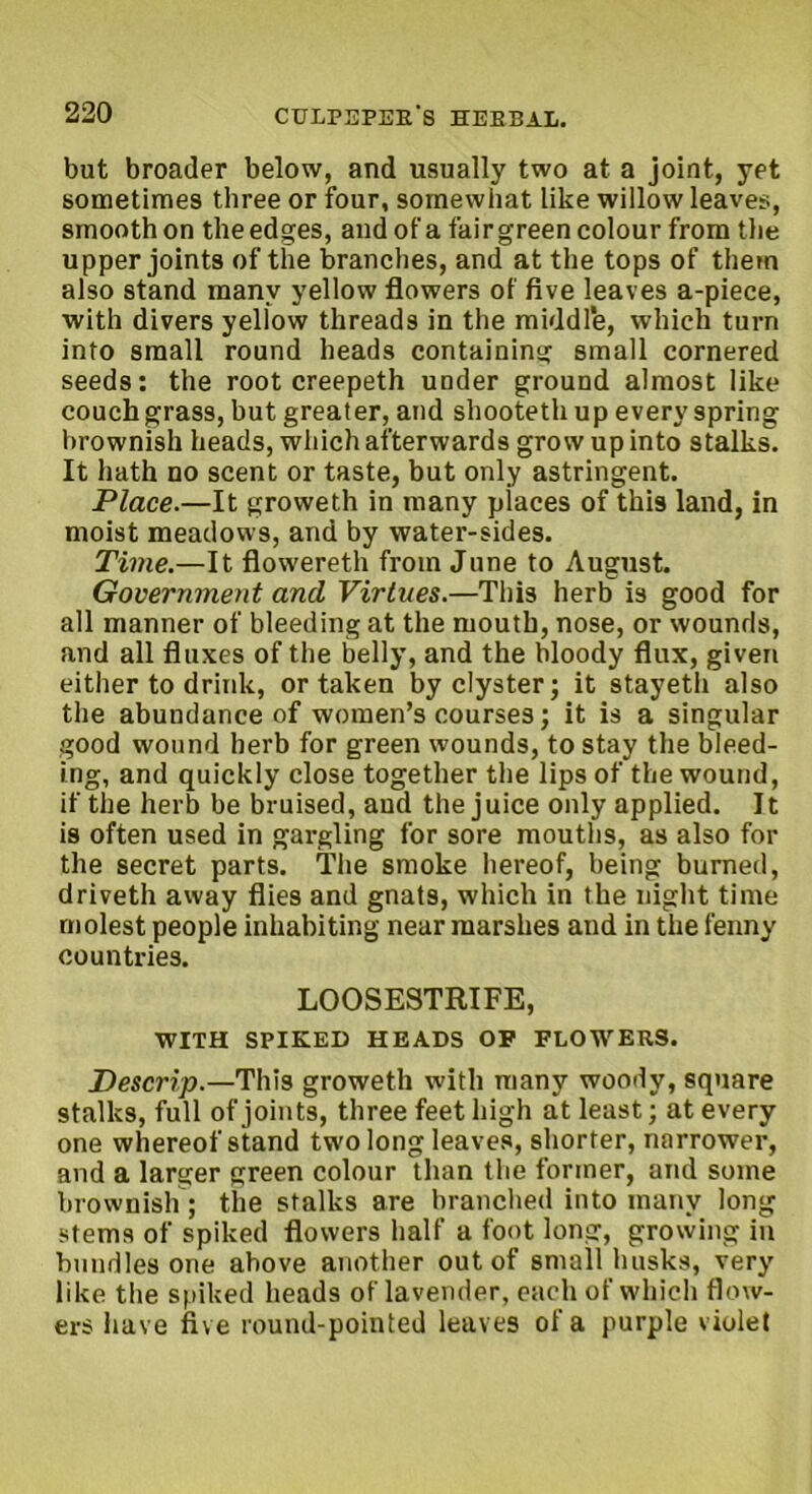 but broader below, and usually two at a joint, yet sometimes three or four, somewhat like willow leaves, smooth on theedges, and of a fairgreen colour from the upper joints of the branches, and at the tops of them also stand many yellow flowers of five leaves a-piece, with divers yellow threads in the middle, which turn into small round heads containing small cornered seeds: the root creepeth under ground almost like couch grass, but greater, and shooteth up every spring brownish heads, which afterwards grow up into stalks. It hath no scent or taste, but only astringent. Place.—It groweth in many piaces of this land, in moist meadows, and by water-sides. Time.—It flowereth from June to August. Government and Virtues.—Thi3 herb is good for all manner of bleeding at the mouth, nose, or wounds, and all fluxes of the belly, and the bloody flux, given either to drink, or taken by clyster; it stayeth also the abundance of women’s courses; it is a singular good wound herb for green wounds, to stay the bleed- ing, and quickly close together the lips of the wound, if the herb be bruised, and the juice only applied. It is often used in gargling for sore mouths, as also for the secret parts. The smoke hereof, being burned, driveth away flies and gnats, which in the night time molest people inhabiting near marshes and in the fenny countries. LOOSESTRIFE, WITH SPIKED HEADS OP FLOWERS. Descrip.—This groweth with many woody, square stalks, full of joints, three feet high at least; at every one whereof stand two long leaves, shorter, narrower, and a larger green colour than the former, and some brownish; the stalks are branched into many long stems of spiked flowers half a foot long, growing in bundles one above another out of small husks, very like the spiked heads oflavender, each of which flow- ers have five round-pointed leaves of a purple violet