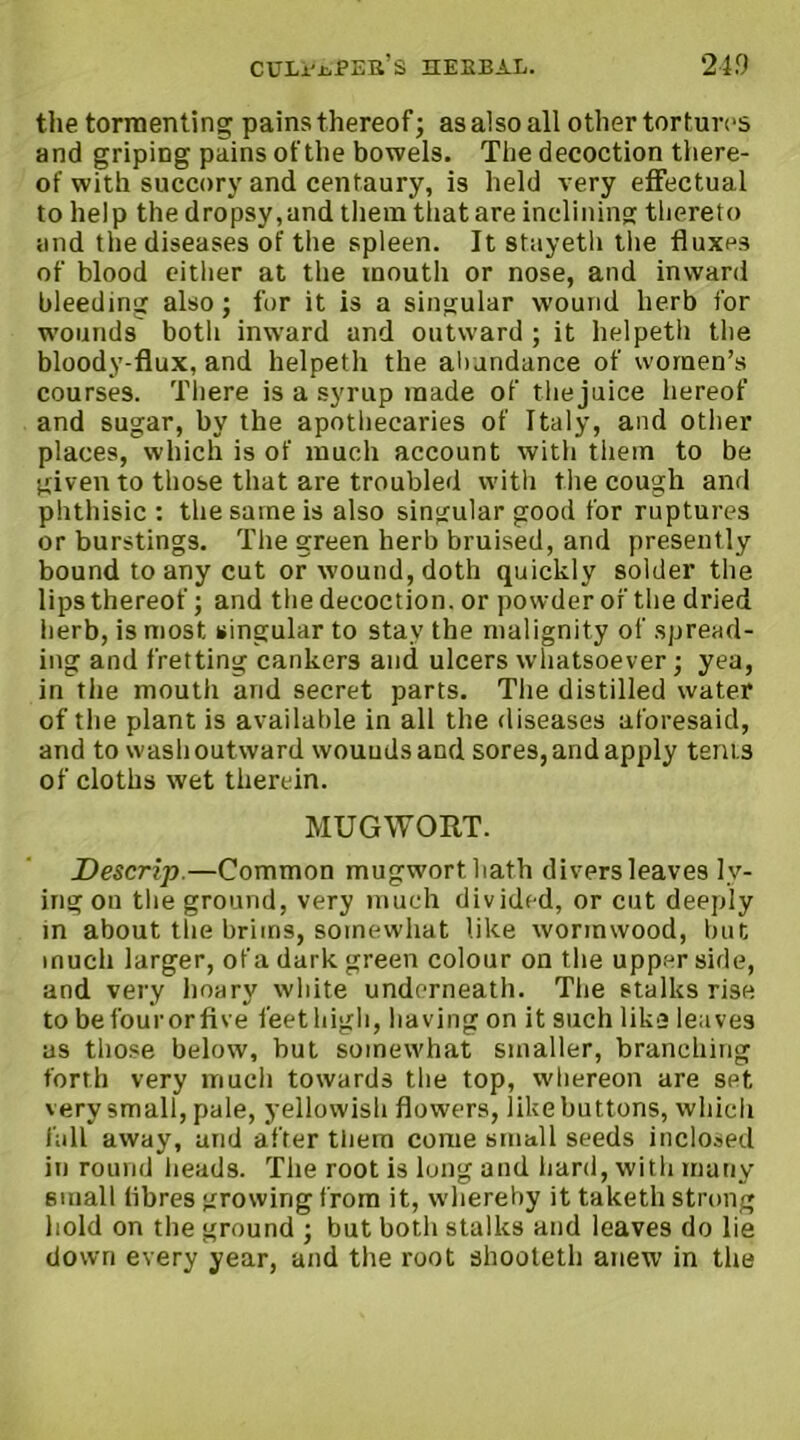 the tormenting pains thereof; as also all other tor turns and griping pains of the bowels. The decoction there- of with succory and centaury, is held very effectual to help the dropsy, and them that are inclining thereto and the diseases of the spleen. It stayeth the Auxps of blood either at the mouth or nose, and inward bleeding also; for it is a singular wound herb for wounds both inward and outward ; it helpeth the bloody-flux, and helpeth the abundance of women’s courses. There is a syrup made of thejuice hereof and sugar, by the apothecaries of Italy, and other places, which is of much account with them to be given to those that are troubled with the cough and phthisic : the same is also singular good for ruptures or burstings. The green herb bruised, and presently bound to any cut or wound, doth quickly solder the lips thereof; and the decoction, or powder of the dried herb, is most singular to stay the malignity of spread- ing and fretting cankers and ulcers whatsoever; yea, in the mouth and secret parts. The distilled water of the plant is available in all the diseases aforesaid, and to wash out ward wounds and sores, and apply tents of cloths wet therein. MUG WORT. Descrip.—Common mugworthath divers leaves ly- ing on the ground, very much divided, or cut deeply in about the brims, somewhat like wormwood, but much larger, of a dark green colour on the upper side, and very hoary white underneath. The stalks rise to befourorfive feethigh, having on it such like leaves as those below, but somewhat smaller, branching forth very much towards the top, whereon are set very small, pale, yellowish flowers, like buttons, which lull away, and after them come small seeds inclosed in round heads. The root is long and hard, with many small libres growing from it, whereby it taketh strong hold on the ground ; but both stalks and leaves do lie down every year, and the root shooteth anew in the