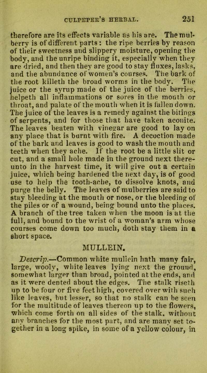 therefore are its effects variable as his are. The mul- berry is of different part s : the ripe berries by reason of their sweetness and slippery moisture, opening the body, arid the unripe binding it, especially when they are dried, and then they are good to stay fluxes, lasks, and the abundance of women’s courses. The bark of the root killeth the broad worms in the body. The juice or the syrup made of the juice of the berries, helpeth all inflammations or sores in the mouth or throat, and palate of the mouth when it is fallen down. The juice of the leaves is a remedy against the bitings of serpents, and for those that have taken aconite. The leaves beaten with vinegar are good to lay on any place that is burnt with fire. A decoction made of the bark and leaves is good to wash the mouth and teeth when they ache. If the root be a little slit or cut, and a small hole made in the ground next there- unto in the harvest time, it will give out a certain juice, which being hardened the next day, is of good use to help the tooth-ache, to dissolve knots, and purge the belly. The leaves of mulberries are said to stay bleeding at the mouth or nose, or the bleeding of the piles or of a wound, being bound unto the places. A branch of the tree taken when the moon is at the full, and bound to the wrist of a woman’s arm whose courses come down too much, doth stay them in a short space. MULLEIN. Descrip.—Common white mulicin hath many fair, large, woolv, white leaves lying next the ground, somewhat larger than broad, pointed at the ends, and as it were dented about the edges. The stalk riseth up to be four or five feet high, covered over with such like leaves, hut lesser, so that no stalk can be seen for the multitude of leaves thereon up to the flowers, which come forth on all sides of the stalk, without any branches for the most part, and are many set to- gether in a long spike, in some of a yellow colour, in