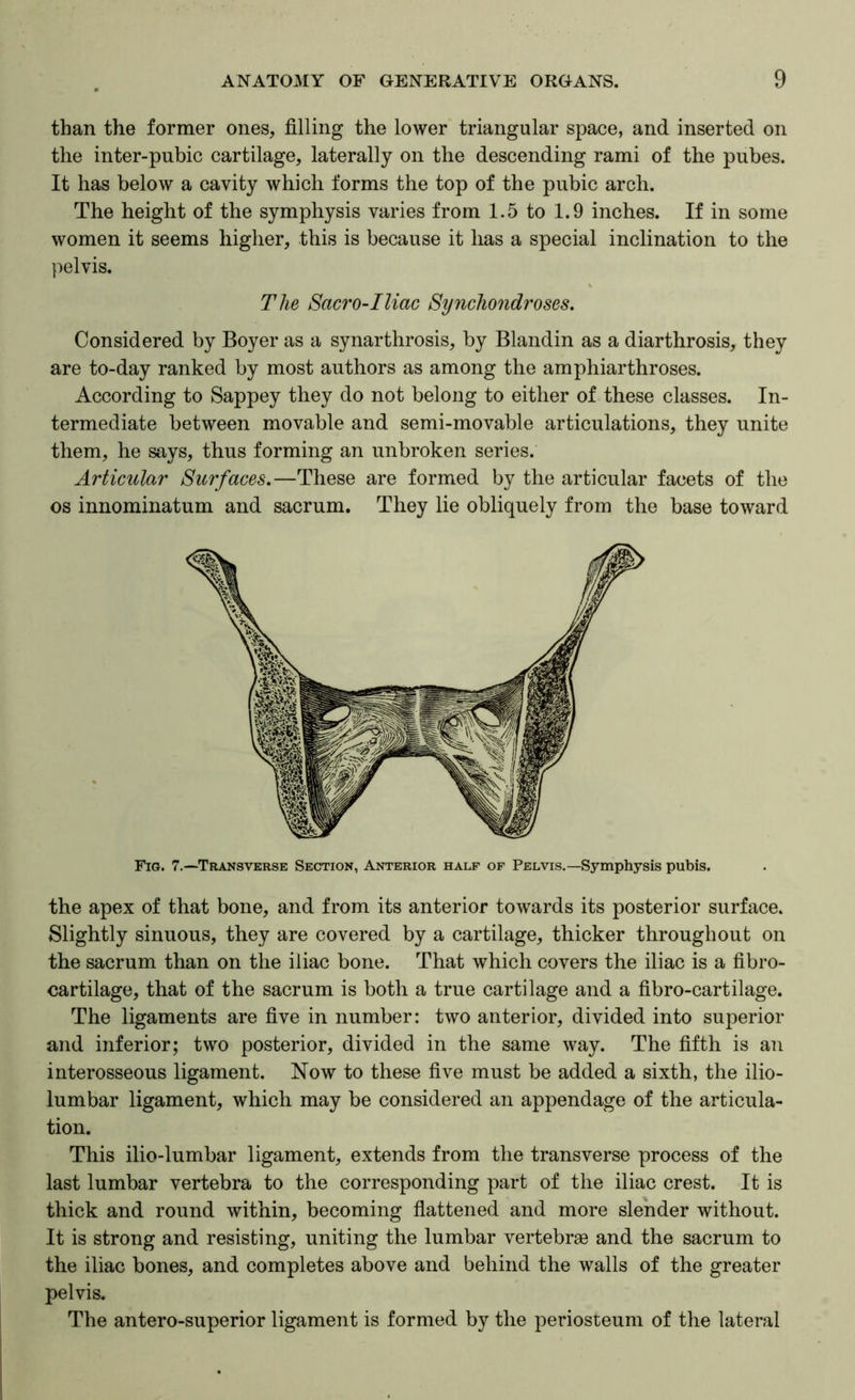 than the former ones, filling the lower triangular space, and inserted on the inter-pubic cartilage, laterally on the descending rami of the pubes. It has below a cavity which forms the top of the pubic arch. The height of the symphysis varies from 1.5 to 1.9 inches. If in some women it seems higher, this is because it has a special inclination to the joelvis. The Sacr0‘Iliac Synchondroses. Considered by Boyer as a synarthrosis, by Blandin as a diarthrosis, they are to-day ranked by most authors as among the amphiarthroses. According to Sappey they do not belong to either of these classes. In- termediate between movable and semi-movable articulations, they unite them, he says, thus forming an unbroken series. Articular Surfaces.—These are formed by the articular facets of the os innominatum and sacrum. They lie obliquely from the base toward Fig. 7.—Transverse Section, Anterior half of Pelvis.—Symphysis pubis. the apex of that bone, and from its anterior towards its posterior surface. Slightly sinuous, they are covered by a cartilage, thicker throughout on the sacrum than on the iliac bone. That which covers the iliac is a fibro- cartilage, that of the sacrum is both a true cartilage and a fibro-cartilage. The ligaments are five in number: two anterior, divided into superior and inferior; two posterior, divided in the same way. The fifth is an interosseous ligament. Now to these five must be added a sixth, the ilio- lumbar ligament, which may be considered an appendage of the articula- tion. This ilio-lumbar ligament, extends from the transverse process of the last lumbar vertebra to the corresponding part of the iliac crest. It is thick and round within, becoming fiattened and more slender without. It is strong and resisting, uniting the lumbar vertebrae and the sacrum to the iliac bones, and completes above and behind the walls of the greater pelvis. The antero-superior ligament is formed by the periosteum of the lateral