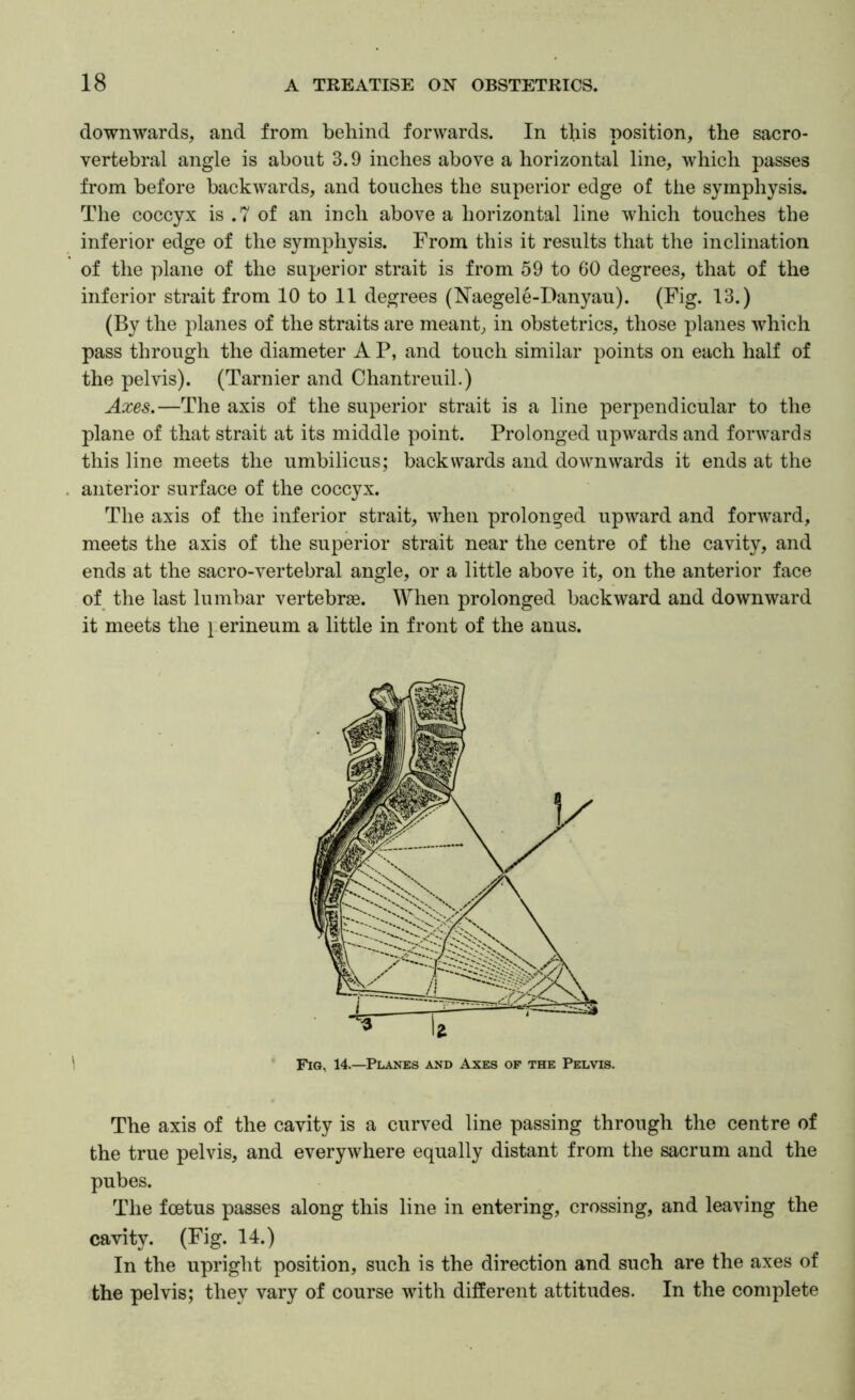 downwards, and from behind forwards. In this position, the sacro- vertebral angle is about 3.9 inches above a horizontal line, which passes from before backwards, and touches the superior edge of the symphysis. The coccyx is .7 of an inch above a horizontal line which touches the inferior edge of the symphysis. From this it results that the inclination of the plane of the superior strait is from 59 to 60 degrees, that of the inferior strait from 10 to 11 degrees (Naegele-Danyau). (Fig. 13.) (By the planes of the straits are meant, in obstetrics, those planes which pass through the diameter A P, and touch similar points on each half of the pelvis). (Tarnier and Chantreuil.) Axes.—The axis of the superior strait is a line perpendicular to the plane of that strait at its middle point. Prolonged upwards and forwards this line meets the umbilicus; backwards and downwards it ends at the anterior surface of the coccyx. The axis of the inferior strait, when prolonged upward and forward, meets the axis of the superior strait near the centre of the cavity, and ends at the sacro-vertebral angle, or a little above it, on the anterior face of the last lumbar vertebrae. IVhen prolonged backward and downward it meets the } erineum a little in front of the anus. The axis of the cavity is a curved line passing through the centre of the true pelvis, and everywhere equally distant from the sacrum and the pubes. The foetus passes along this line in entering, crossing, and leaving the cavity. (Fig. 14.) In the upright position, such is the direction and such are the axes of the pelvis; they vary of course with different attitudes. In the complete