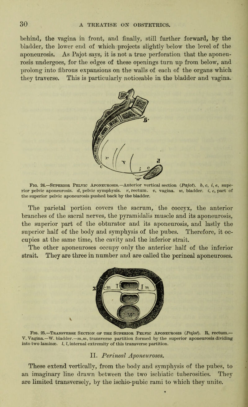 behind, the vagina in front, and finally, still further forward, by the bladder, the lower end of which projects slightly below the level of the aponeurosis. As Pajot says, it is not a true perforation that the aponeu- rosis undergoes, for the edges of these openings turn up from below, and prolong into fibrous expansions on the walls of each of the organs which they traverse. This is particularly noticeable in the bladder and vagina. Fig. 24.—Superior Pelvic Aponeurosis.—Anterior vertical section {Pajot). h, c, i, e, supe- rior pelvic aponeurosis. d, pelvic symphysis, r, rectum, v, vagina, w, bladder, i, e, part of the superior pelvic aponeurosis pushed back by the bladder. The parietal portion covers the sacrum, the coccyx, the anterior branches of the sacral nerves, the pyramidal is muscle and its aponeurosis, the superior part of the obturator and its aponeurosis, and lastly the superior half of the body and symphysis of the pubes. Therefore, it oc- cupies at the same time, the cavity and the inferior strait. The other aponeuroses occupy only the anterior half of the inferior strait. They are three in number and are called the perineal aponeuroses. Fig. 25.—Transverse Section of the Superior Pelvic Aponeurosis (Pajot). R, rectum.— V. Vagina.—W. bladder.—m,m, transverse partition formed by the superior aponeurosis dividing into two laminae. I, I, internal extremity of this transverse partition. These extend vertically, from the body and symphysis of the pubes, to an imaginary line drawn between the two ischiatic tuberosities. They are limited transversely, by the ischio-pubic rami to which they unite. V II. Perineal A'poneuroses,