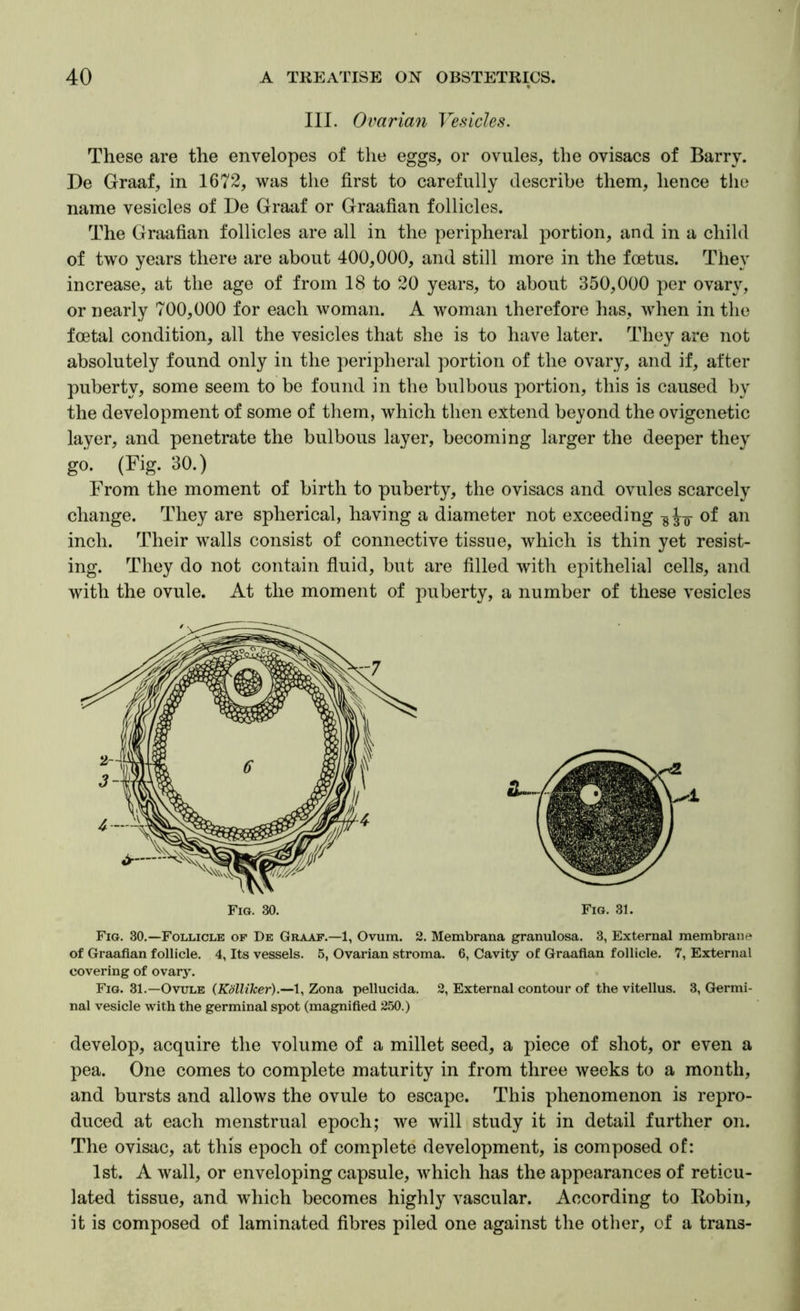 III. Ovarian Vesicles. These are the envelopes of the eggs, or ovules, the ovisacs of Barry. De Graaf, in 1672, was the first to carefully describe them, hence the name vesicles of De Graaf or Graafian follicles. The Graafian follicles are all in the peripheral portion, and in a child of two years there are about 400,000, and still more in the foetus. Tliey increase, at the age of from 18 to 20 years, to about 350,000 per ovary, or nearly 700,000 for each woman. A woman therefore has, when in the foetal condition, all the vesicles that she is to have later. They are not absolutely found only in the peripheral portion of the ovary, and if, after puberty, some seem to be found in the bulbous portion, this is caused by the development of some of them, which then extend beyond the ovigenetic layer, and penetrate the bulbous layer, becoming larger the deeper they go. (Fig. 30.) From the moment of birth to puberty, the ovisacs and ovules scarcely change. They are spherical, having a diameter not exceeding ^ J-g- of an inch. Their walls consist of connective tissue, which is thin yet resist- ing. They do not contain fluid, but are filled with epithelial cells, and with the ovule. At the moment of puberty, a number of these vesicles Fig. 30. Fig. 31. Fig. 30.—Follicle op De Graaf.—1, Ovum. 2. Membrana granulosa. 3, External membrane of Graafian follicle. 4, Its vessels. 5, Ovarian stroma. 6, Cavity of Graafian follicle. 7, External covering of ovarj% Fig. 31.—Ovule (Kdlliker).—!, Zona pellucida. 2, External contour of the vitellus. 3, Germi- nal vesicle with the germinal spot (magnified 250.) develop, acquire the volume of a millet seed, a piece of shot, or even a pea. One comes to complete maturity in from three weeks to a month, and bursts and allows the ovule to escape. This phenomenon is repro- duced at each menstrual epoch; we will study it in detail further on. The ovisac, at this epoch of complete development, is composed of: 1st. A wall, or enveloping capsule, which has the appearances of reticu- lated tissue, and which becomes highly vascular. According to Kobin, it is composed of laminated fibres piled one against the other, of a trans-