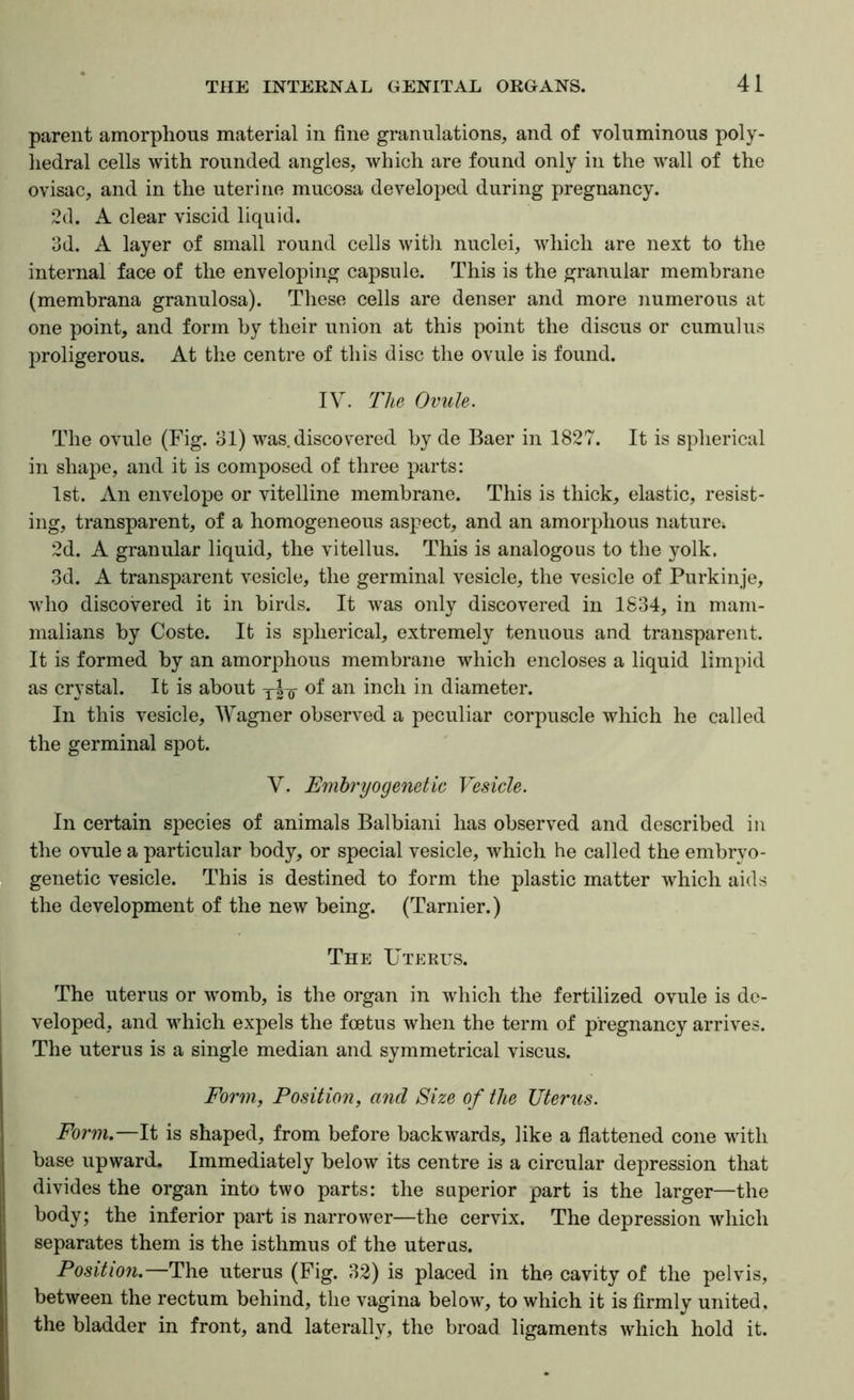 parent amorphous material in fine granulations, and of voluminous poly- hedral cells with rounded angles, which are found only in the wall of the ovisac, and in the uterine mucosa developed during pregnancy. 2d. A clear viscid liquid. 3d. A layer of small round cells with nuclei, which are next to the internal face of the enveloping capsule. This is the granular membrane (memhrana granulosa). These cells are denser and more numerous at one point, and form by their union at this point the discus or cumulus proligerous. At the centre of this disc the ovule is found. IV. The Ovule. The ovule (Fig. 31) was.discovered by de Baer in 1827. It is spherical in shape, and it is composed of three parts: 1st. An envelope or vitelline membrane. This is thick, elastic, resist- ing, transparent, of a homogeneous aspect, and an amorphous nature^ 2d. A granular liquid, the vitellus. This is analogous to the yolk. 3d. A transparent vesicle, the germinal vesicle, the vesicle of Purkinje, who discovered it in birds. It was only discovered in 1834, in mam- malians by Coste. It is spherical, extremely tenuous and transparent. It is formed by an amorphous membrane which encloses a liquid limpid as crystal. It is about rio- of an inch in diameter. In this vesicle, Wagner observed a peculiar corpuscle which he called the germinal spot. V. Emhryogenetic Vesicle. In certain species of animals Balbiani has observed and described in the ovule a particular body, or special vesicle, which he called the embryo- genetic vesicle. This is destined to form the plastic matter which aids the development of the new being. (Tarnier.) The Uterus. The uterus or womb, is the organ in which the fertilized ovule is de- veloped, and which expels the foetus when the term of pregnancy arrives. The uterus is a single median and symmetrical viscus. Form, Position, and Size of the Uterus. Form.—It is shaped, from before backwards, like a flattened cone with base upward. Immediately below its centre is a circular depression that divides the organ into two parts: the superior part is the larger—the body; the inferior part is narrower—the cervix. The depression which separates them is the isthmus of the uterus. Positi07i.—The uterus (Fig. 32) is placed in the cavity of the pelvis, between the rectum behind, the vagina below, to which it is firmly united, the bladder in front, and laterally, the broad ligaments which hold it.