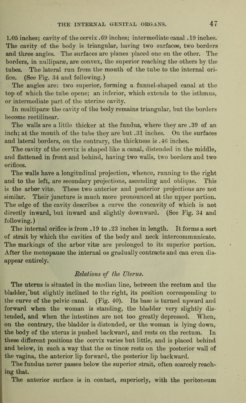 1.05 inches; cavity of the cervix .69 inches; intermediate canal .19 inches. The cavity of the body is triangular, having two surfaces, two borders and three angles. The surfaces are planes placed one on the other. The borders, in nulliparae, are convex, the superior reaching the others by the tubes. The lateral run from the mouth of the tube to the internal ori- fice. (See Fig. 34 and following.) The angles are: two superior, forming a funnel-shaped canal at the top of which the tube opens; an inferior, which extends to the isthmus, or intermediate part of the uterine cavity. In multiparas the cavity of the body remains triangular, but the borders become rectilinear. The walls are a little thicker at the fundus, where they are .39 of an inch; at the mouth of the tube they are but .31 inches. On the surfaces and lateral borders, on the contrary, the thickness is .46 inches. The cavity of the cervix is shaped like a canal, distended in the middle, and flattened in front and behind, having two walls, two borders and two oriflces. The walls have a longitudinal projection, whence, running to the right and to the left, are secondary projections, ascending and oblique. This is the arbor vitas. These two anterior and posterior projections are not similar. Their juncture is much more pronounced at the upper portion. The edge of the cavity describes a curve the concavity of which is not directly inward, but inward and slightly downward. (See Fig. 34 and following.) The internal oriflce is from .19 to .23 inches in length. It forms a sort of strait by which the cavities of the body and neck intercommunicate. The markings of the arbor vitas are prolonged to its superior portion. After the menopause the internal os gradually contracts and can even dis- appear entirely. Relations of the Uterus. The uterus is situated in the median line, between the rectum and the bladder,‘but slightly inclined to the right, its position corresponding to the curve of the pelvic canal. (Fig. 40). Its base is turned upward and forward when the woman is standing, the bladder very slightly dis- tended, and when the intestines are not too greatly depressed. When, on the contrary, the bladder is distended, or the woman is lying down, the body of the uterus is pushed backward, and rests on the rectum. In these different positions the cervix varies but little, and is placed behind and below, in such a way that the os tincse rests on the posterior wall of the vagina, the anterior lip forward, the posterior lip backward. The fundus never passes below the superior strait, often scarcely reach- ing that. The anterior surface is in contact, superiorly, with the peritoneum