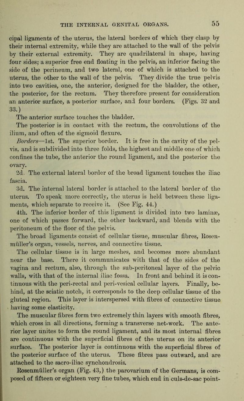 cipal ligaments of the uterus, the lateral borders of which they clasp by their internal extremity, while they are attached to the wall of the pelvis by their external extremity. They are quadrilateral in shape, having four sides; a superior free end floating in the pelvis, an inferior facing the side of the perineum, and two lateral, one of which is attached to the uterus, the other to the wall of the pelvis. They divide the true pelvis into two cavities, one, the anterior, designed for the bladder, the other, the posterior, for the rectum. They therefore present for consideration an anterior surface, a posterior surface, and four borders. (Figs. 32 and 33.) The anterior surface touches the bladder. The posterior is in contact with the rectum, the convolutions of the ilium, and often of the sigmoid flexure. Borders—1st. The superior border. It is free in the cavity of the pel- vis, and is subdivided into three folds, the highest and middle one of which confines the tube, the anterior the round ligament, and the posterior the ovary. 2d. The external lateral border of the broad ligament touches the iliac fascia. 3d. The internal lateral border is attached to the lateral border of the uterus. To speak more correctly, the uterus is held between these liga- ments, which separate to receive it. (See Fig. 44.) 4th. The inferior border of this ligament is divided into two laminae, one of which passes forward, the other backward,* and blends with the peritoneum of the floor of the pelvis. The broad ligaments consist of cellular tissue, muscular fibres, Rosen- muller’s organ, vessels, nerves, and connective tissue. The cellular tissue is in large meshes, and becomes more abundant near the base. There it communicates with that of the sides of the vagina and rectum, also, through the sub-peritoneal layer of the pelvic walls, with that of the internal iliac fossa. In front and behind it is con- tinuous with the peri-rectal and peri-vesical cellular layers. Finally, be- hind, at the sciatic notch, it corresponds to the deep cellular tissue of the gluteal region. This layer is interspersed with fibres of connective tissue N liaving some elasticity. The muscular fibres form two extremely thin layers with smooth fibres, which cross in all directions, forming a transverse net-work. The ante- rior layer unites to form the round ligament, and its most internal fibres are continuous with the superficial fibres of the uterus on its anterior surface. The posterior layer is continuous with the superficial fibres of the posterior surface of the uterus. These fibres pass outward, and are attached to the sacro-iliac synchondrosis. RosenmiilleFs organ (Fig. 43,) the parovarium of the Germans, is com- posed of fifteen or eighteen very fine tubes, which end in ouls-de-sac point-