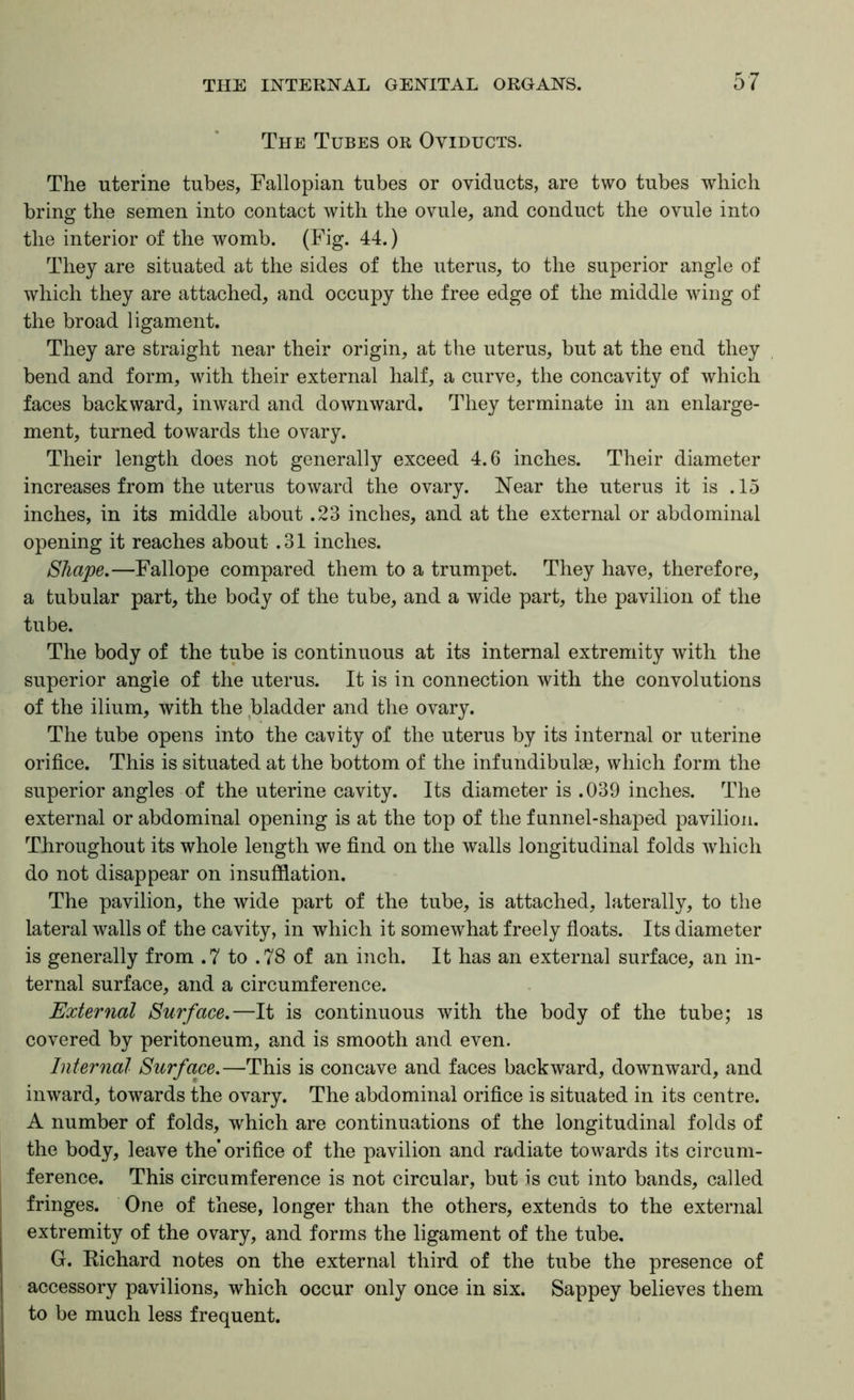 The Tubes or Oviducts. The uterine tubes, Fallopian tubes or oviducts, are two tubes which bring the semen into contact with the ovule, and conduct the ovule into the interior of the womb. (Fig. 44.) They are situated at the sides of the uterus, to the superior angle of which they are attached, and occupy the free edge of the middle wing of the broad ligament. They are straight near their origin, at the uterus, but at the end they bend and form, with their external half, a curve, the concavity of which faces backward, inward and downward. They terminate in an enlarge- ment, turned towards the ovary. Their length does not generally exceed 4.6 inches. Their diameter increases from the uterus toward the ovary. Near the uterus it is .15 inches, in its middle about .23 inches, and at the external or abdominal opening it reaches about .31 inches. Shape.—Fallope compared them to a trumpet. They have, therefore, a tubular part, the body of the tube, and a wide part, the pavilion of the tube. The body of the tube is continuous at its internal extremity with the superior angle of the uterus. It is in connection with the convolutions of the ilium, with the bladder and the ovary. The tube opens into the cavity of the uterus by its internal or uterine orifice. This is situated at the bottom of the inf undibulge, which form the superior angles of the uterine cavity. Its diameter is .039 inches. The external or abdominal opening is at the top of the funnel-shaped pavilion. Throughout its whole length we find on the walls longitudinal folds which do not disappear on insufflation. The pavilion, the wide part of the tube, is attached, laterally, to the lateral walls of the cavity, in which it somewhat freely floats. Its diameter is generally from . 7 to . 78 of an inch. It has an external surface, an in- ternal surface, and a circumference. External Surface.—It is continuous with the body of the tube; is covered by peritoneum, and is smooth and even. Internal Surface.—This is concave and faces backward, downward, and inward, towards the ovary. The abdominal orifice is situated in its centre. A number of folds, which are continuations of the longitudinal folds of the body, leave the’orifice of the pavilion and radiate towards its circum- ference. This circumference is not circular, but is cut into bands, called fringes. One of these, longer than the others, extends to the external extremity of the ovary, and forms the ligament of the tube. G. Richard notes on the external third of the tube the presence of accessory pavilions, which occur only once in six. Sappey believes them to be much less frequent.