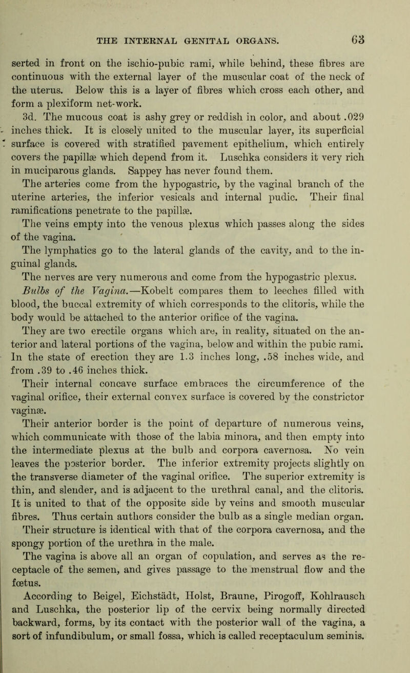 serted in front on the ischio-pubic rami, while behind, these fibres are continuous with the external layer of the muscular coat of the neck of the uterus. Below this is a layer of fibres which cross each other, and form a plexiform net-work. 3d. The mucous coat is ashy grey or reddish in color, and about .029 inches thick. It is closely united to the muscular layer, its superficial surface is covered with stratified pavement epithelium, which entirely covers the papillse which depend from it. Luschka considers it very rich in muciparous glands. Sappey has never found them. The arteries come from the hypogastric, by the vaginal branch of the uterine arteries, the inferior vesicals and internal pudic. Their final ramifications penetrate to the papillae. The veins empty into the venous plexus which passes along the sides of the vagina. The lymphatics go to the lateral glands of the cavity, and to the in- guinal glands. The nerves are very numerous and come from the hypogastric plexus. Bulbs of the Vagina.—Kobelt compares them to leeches filled with blood, the buccal extremity of which corresponds to the clitoris, while the body would be attached to the anterior orifice of the vagina. They are two erectile organs which are, in reality, situated on the an- terior and lateral portions of the vagina, below and within the pubic rami. In the state of erection they are 1.3 inches long, .58 inches wide, and from .39 to .46 inches thick. Their internal concave surface embraces the circumference of the vaginal orifice, their external convex surface is covered by the constrictor vaginae. Their anterior border is the point of departure of numerous veins, which communicate with those of the labia minora, and then empty into the intermediate plexus at the bulb and corpora cavernosa. No vein leaves the posterior border. The inferior extremity projects slightly on the transverse diameter of the vaginal orifice. The superior extremity is thin, and slender, and is adjacent to the urethral canal, and the clitoris. It is united to that of the opposite side by veins and smooth muscular fibres. Thus certain authors consider the bulb as a single median organ. Their structure is identical with that of the corpora cavernosa, and the spongy portion of the urethra in the male. The vagina, is above all an organ of copulation, and serves as the re- ceptacle of the semen, and gives passage to the menstrual fiow and the foetus. According to Beigel, Eichstadt, Holst, Braune, Pirogofi, Kohlrausch and Luschka, the posterior lip of the cervix being normally directed backward, forms, by its contact with the posterior wall of the vagina, a sort of infundibulum, or small fossa, which is called receptaculum seminis.